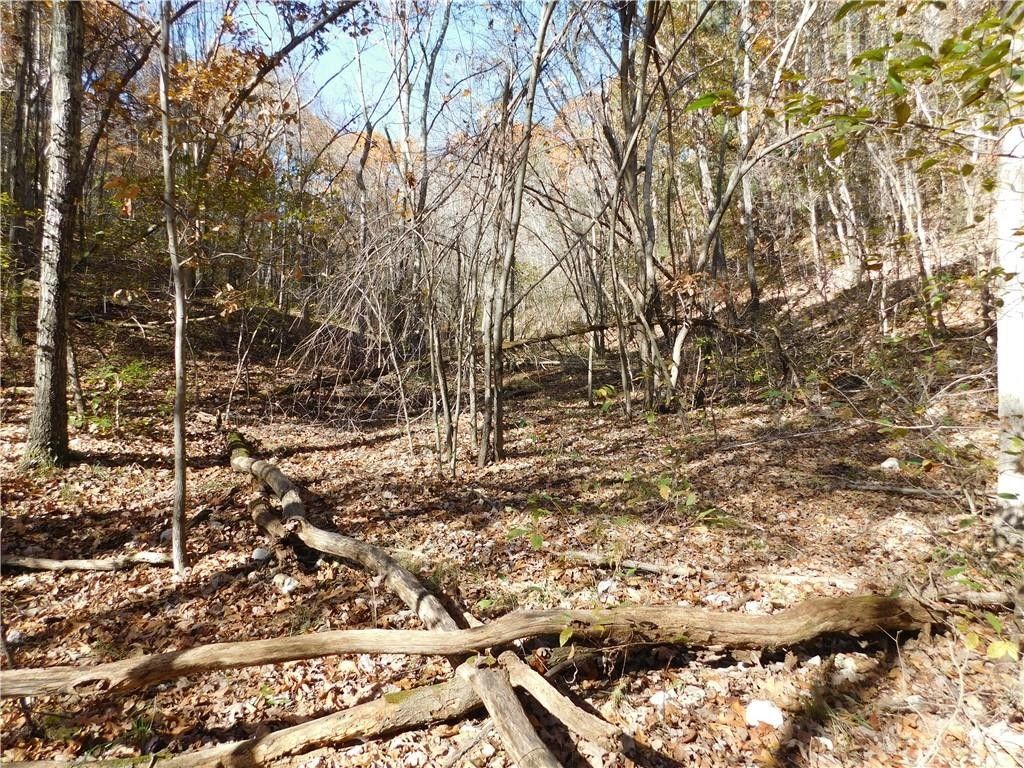 15.53 Acres, Ravenwood LN, Yellville, AR 72687 Land and Farm