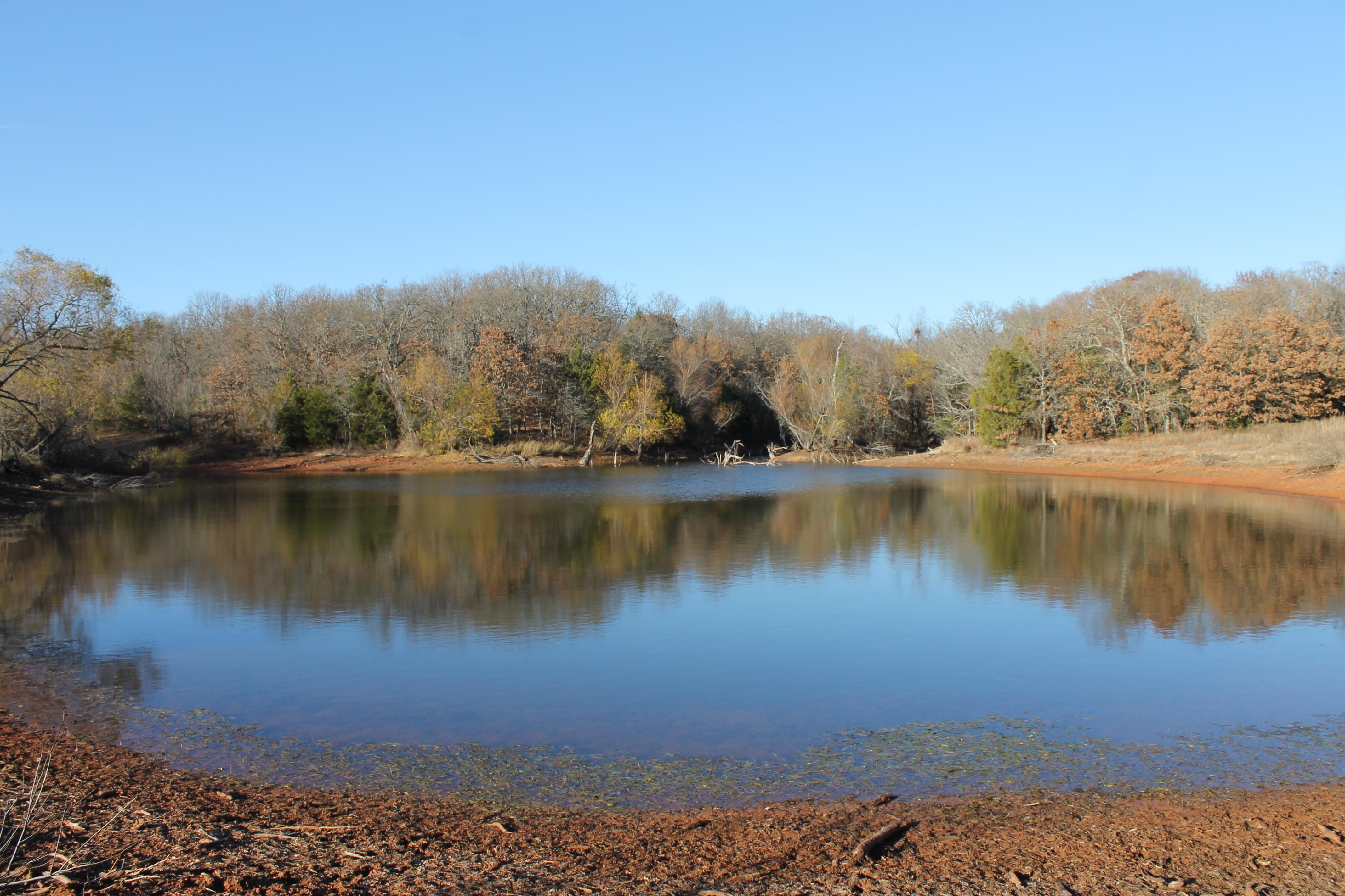 100 Acres, Asher, OK 74826 Land and Farm