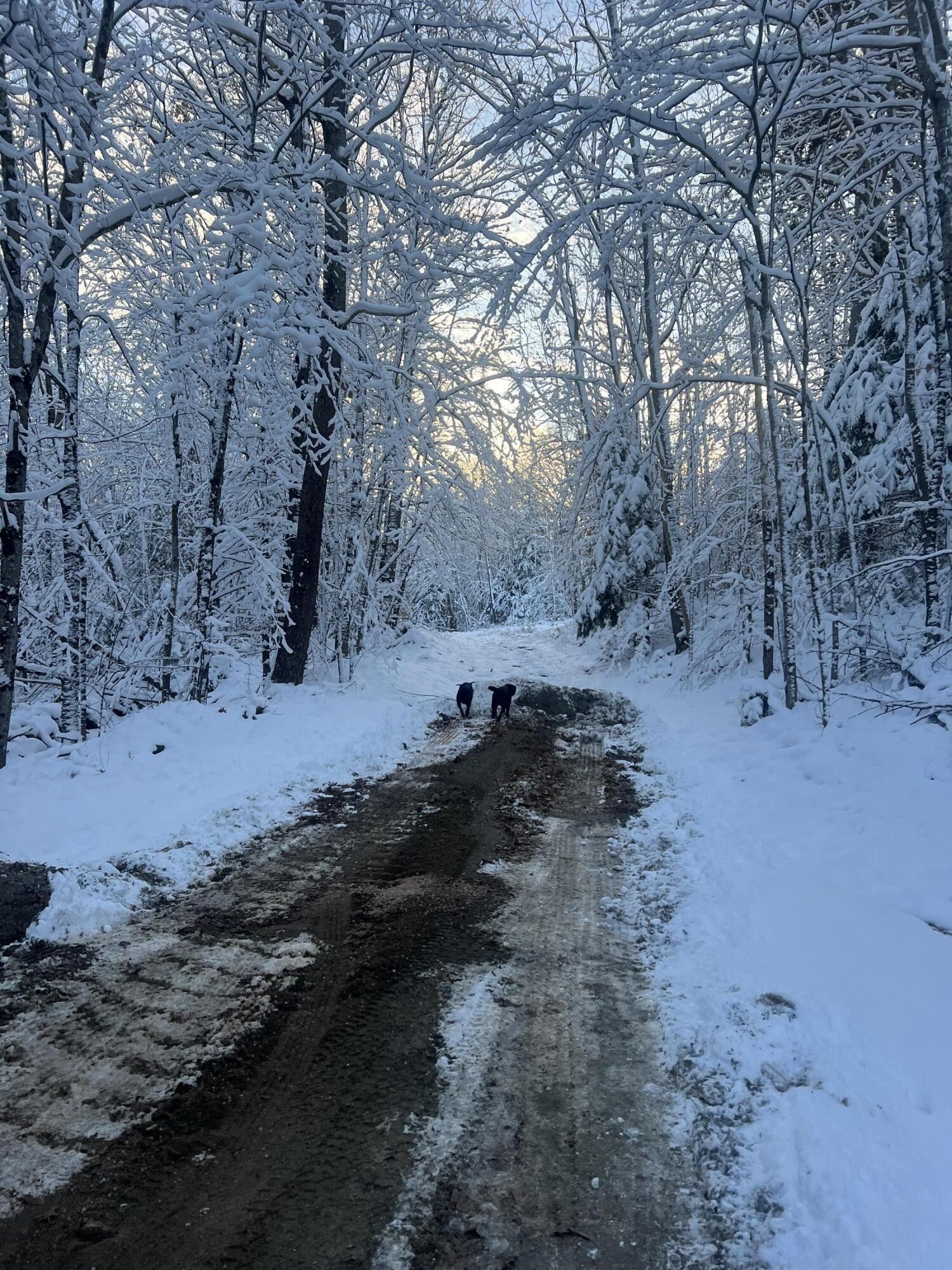 30 Acres, 49 Owens Drive, Winthrop, ME 04364 Land and Farm