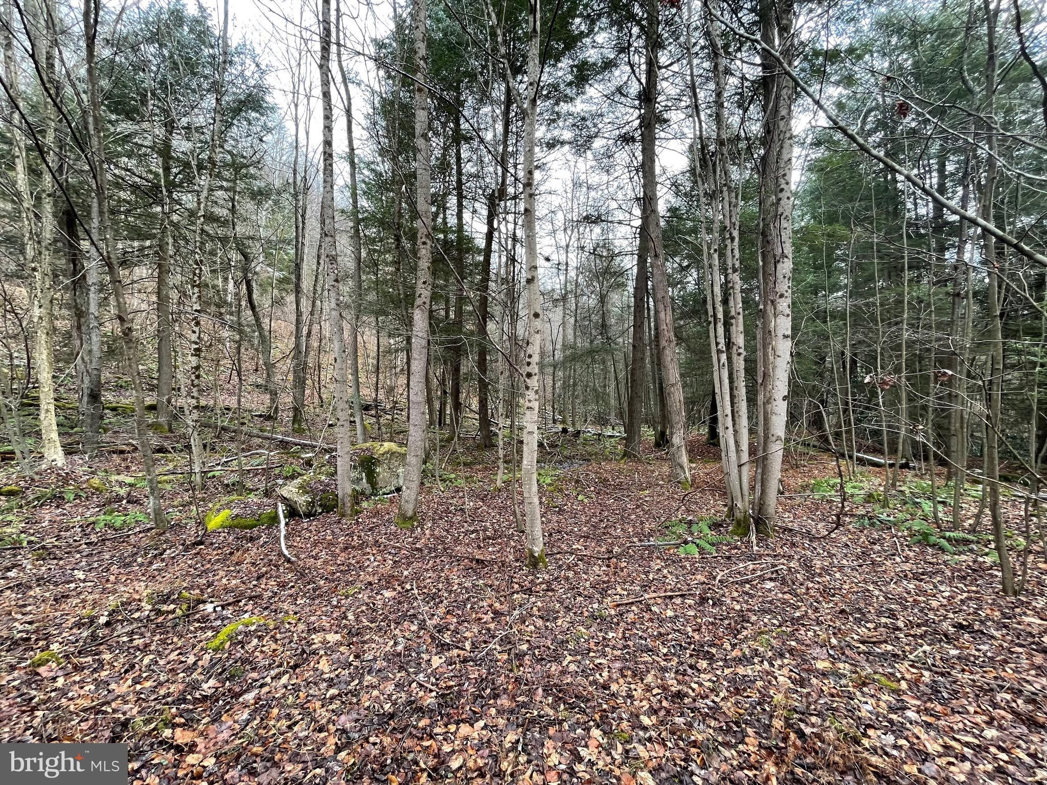 64 Acres, MARTIN ROAD, Albright, WV 26519 Land and Farm