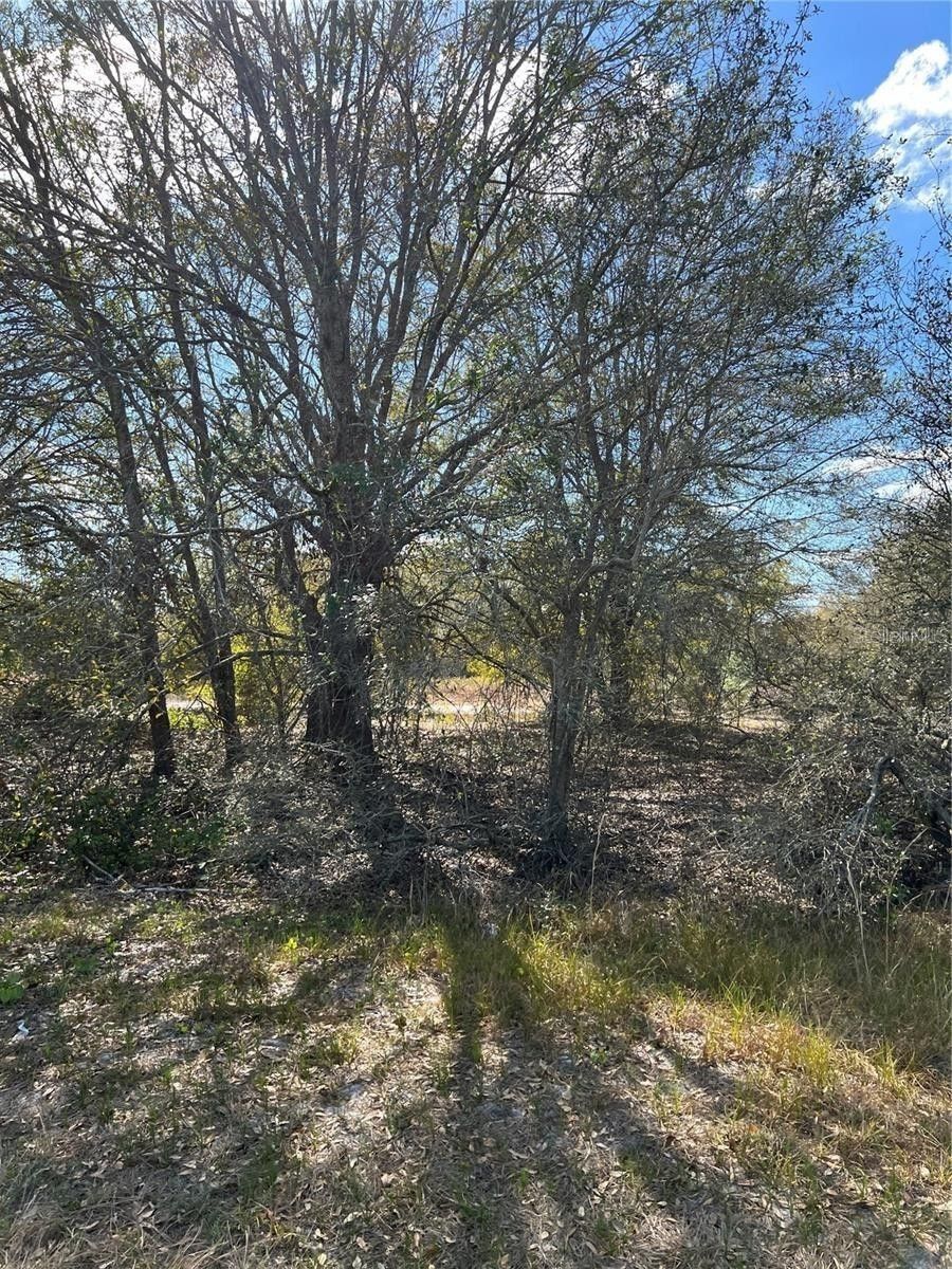 1.04 Acres, 1010 S BRODIE ROAD, Avon Park, FL 33825 Land and Farm