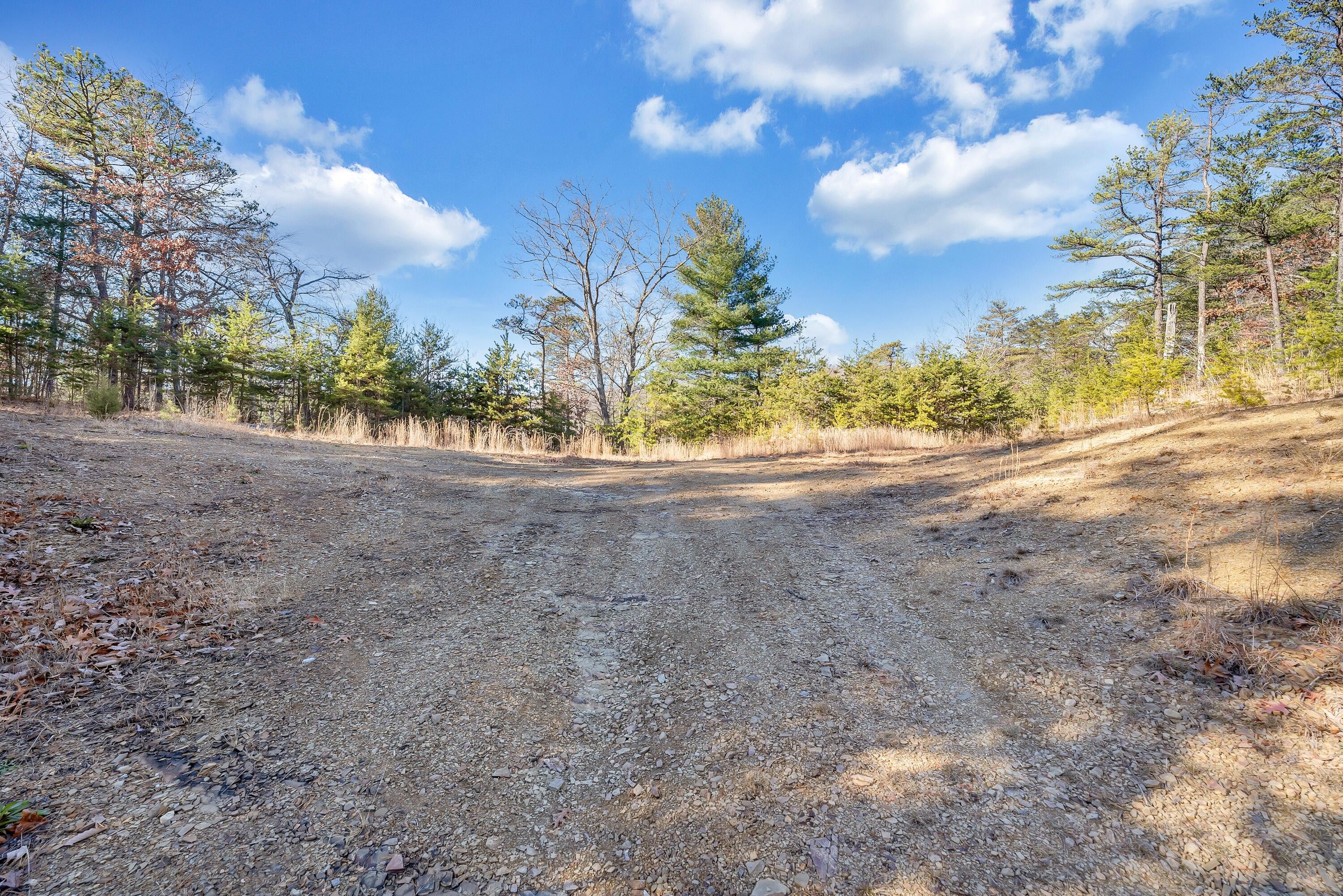 124.3 Acres, 0 Taylor LN, Elliston, VA 24087 Land and Farm