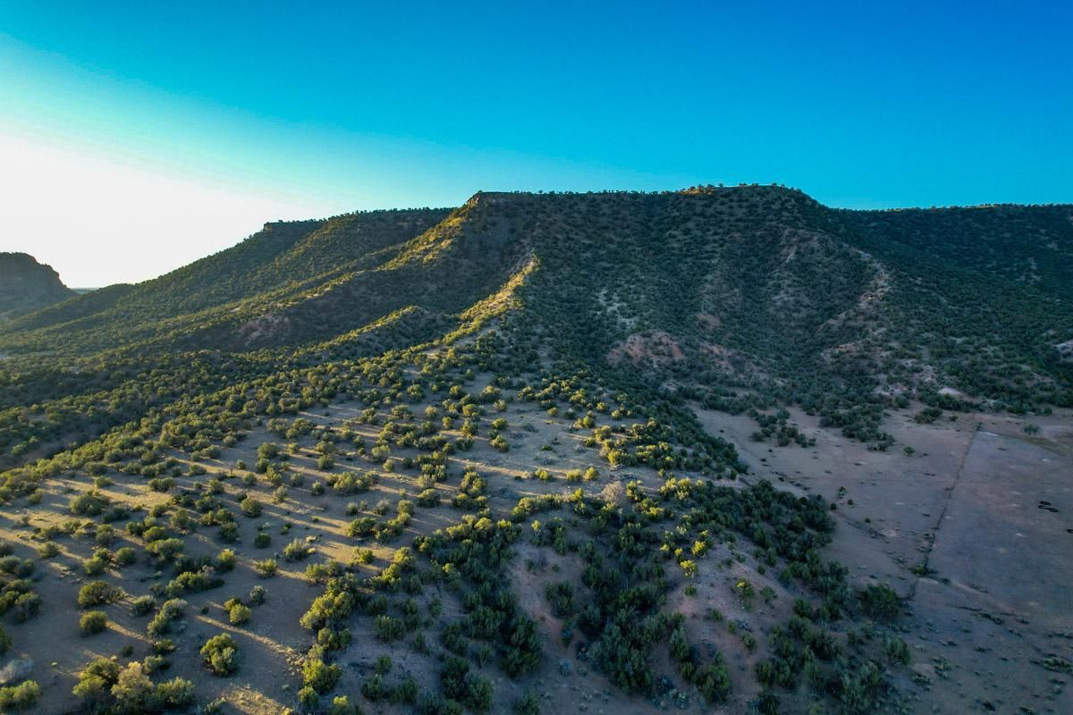 4,644 acres in Quemado, NM, 87829 Land and Farm