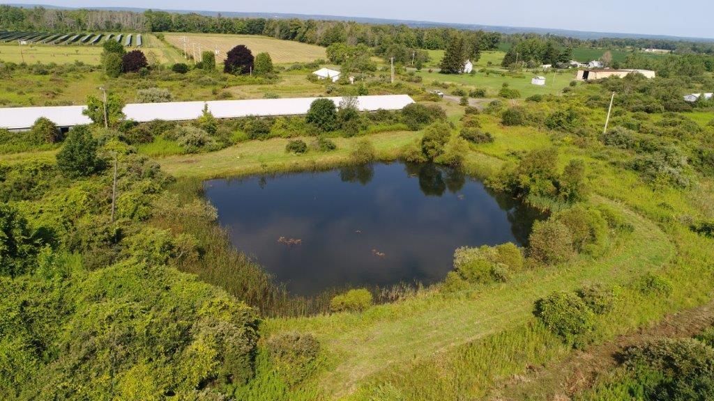 30 acres in Trumansburg, NY, 14886 Land and Farm
