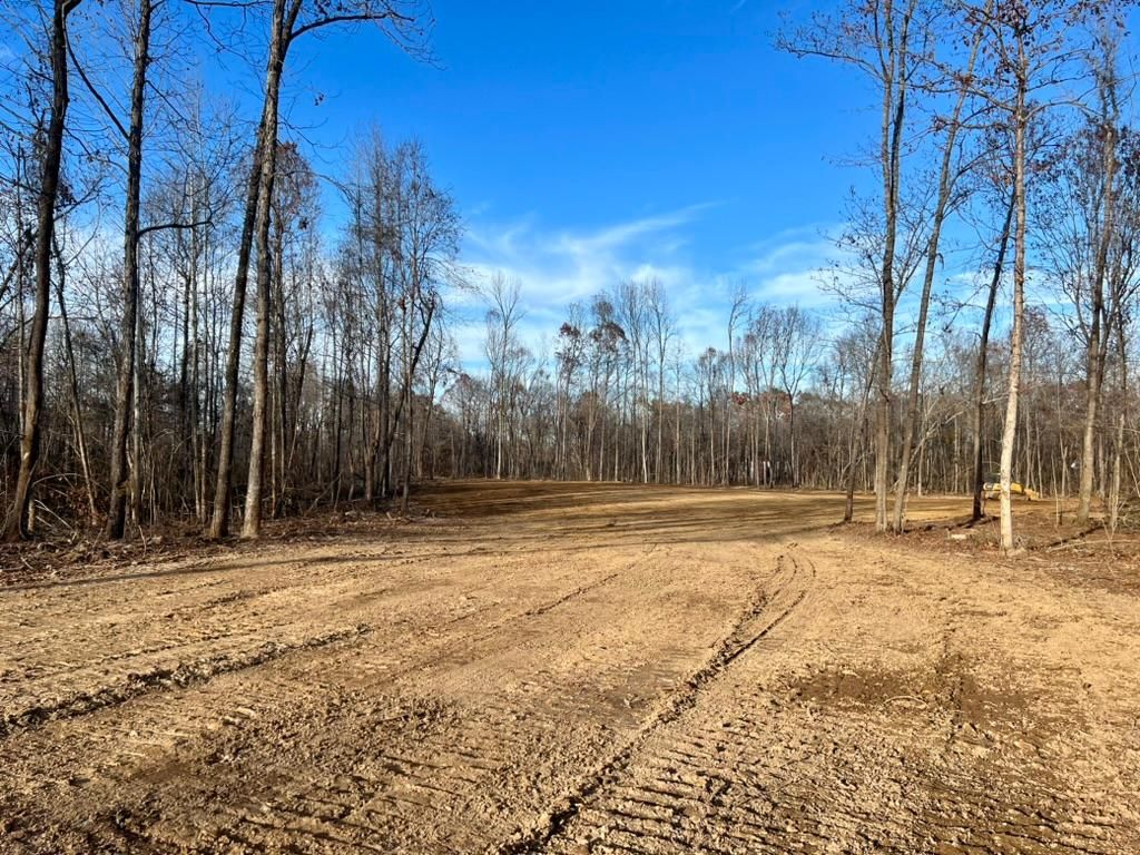 0 Hwy 368, Grand Junction, TN 38039 Land and Farm