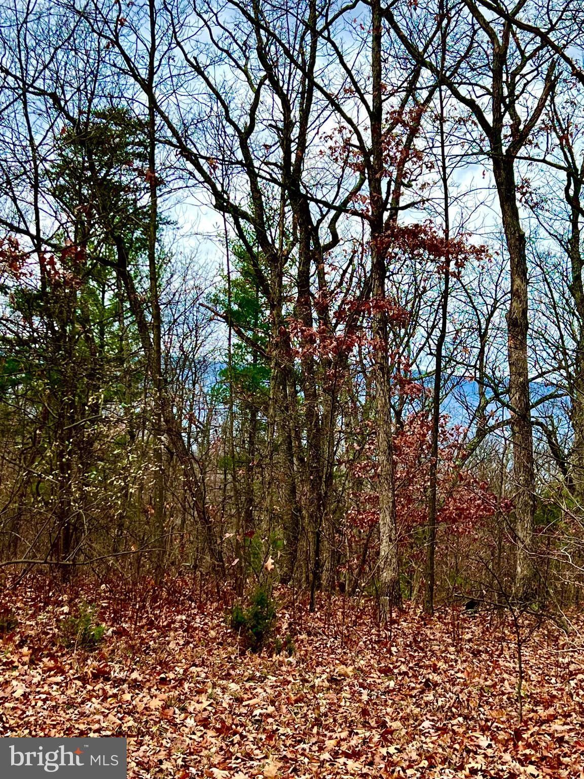 3 Acres, QUAIL RUN LN., Winchester, VA 22602 Land and Farm