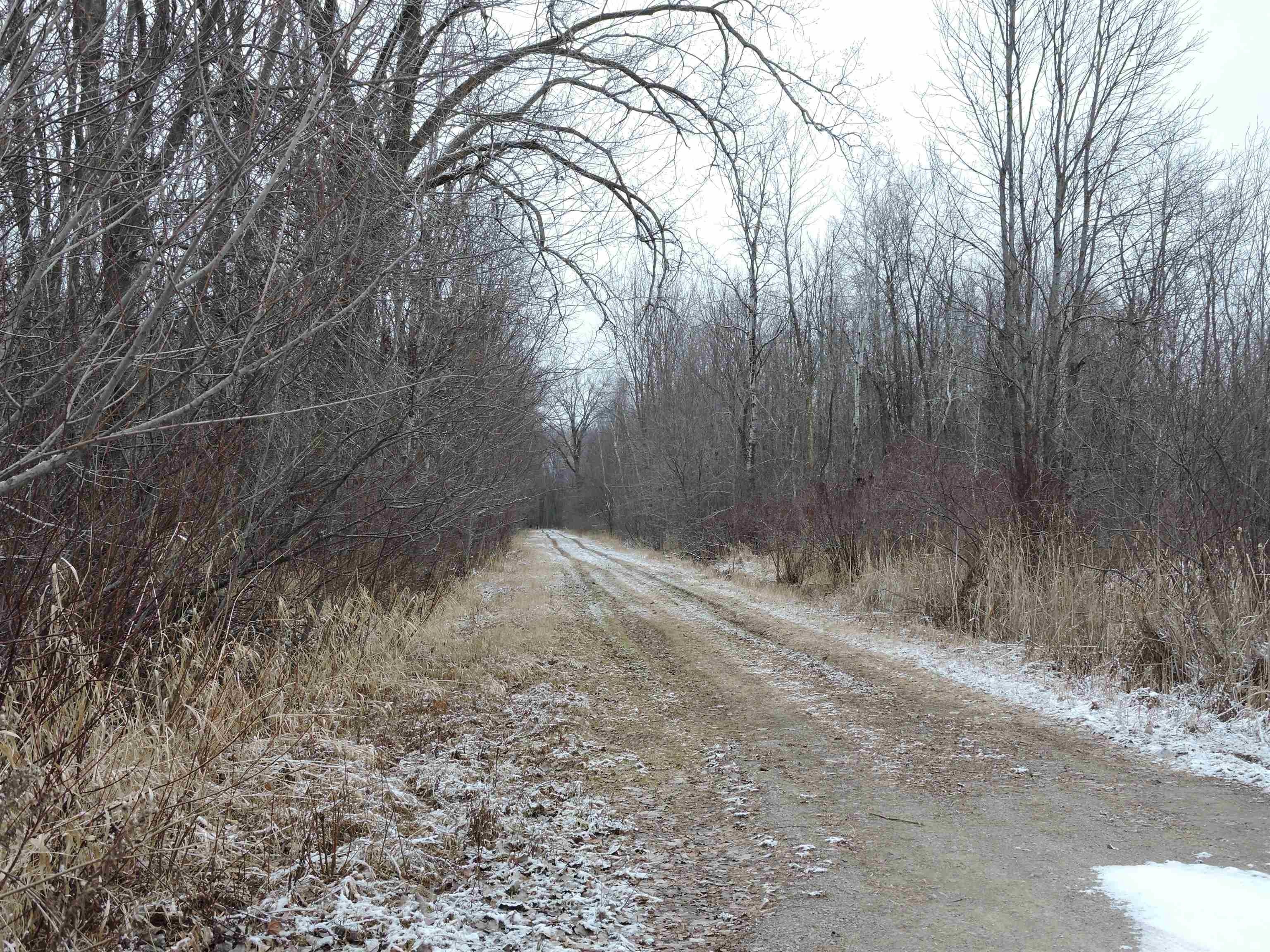 40 Acres, HEISER Lane, Little Suamico, WI 54141 Land and Farm