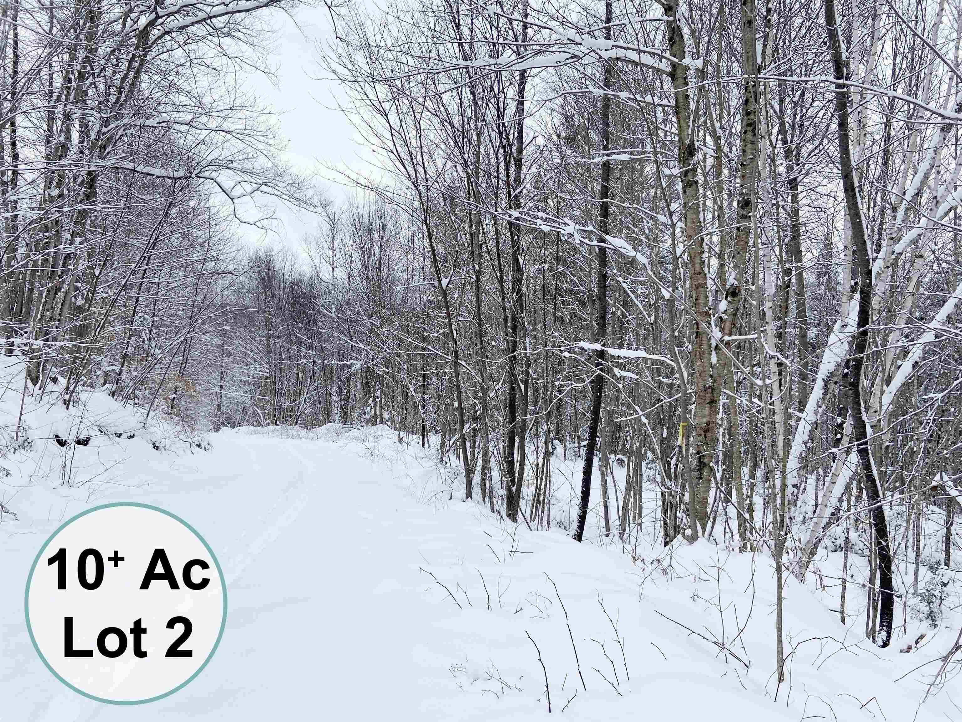 10.07 Acres, 0 Fall Brook Road, Wheelock, VT 05851 Land and Farm