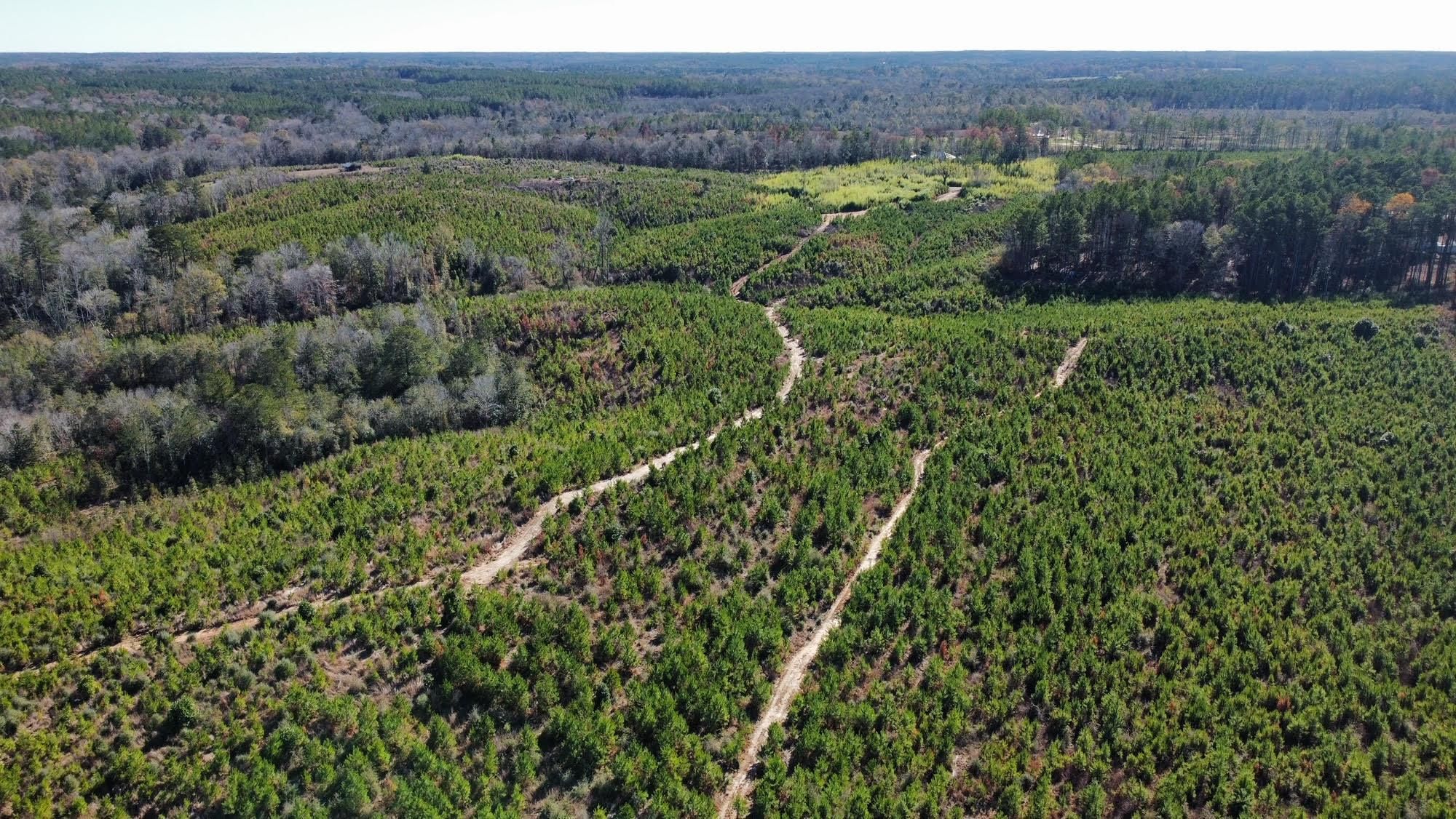 175 Acres, Simpson County, MS, Mendenhall, MS 39114 Land and Farm