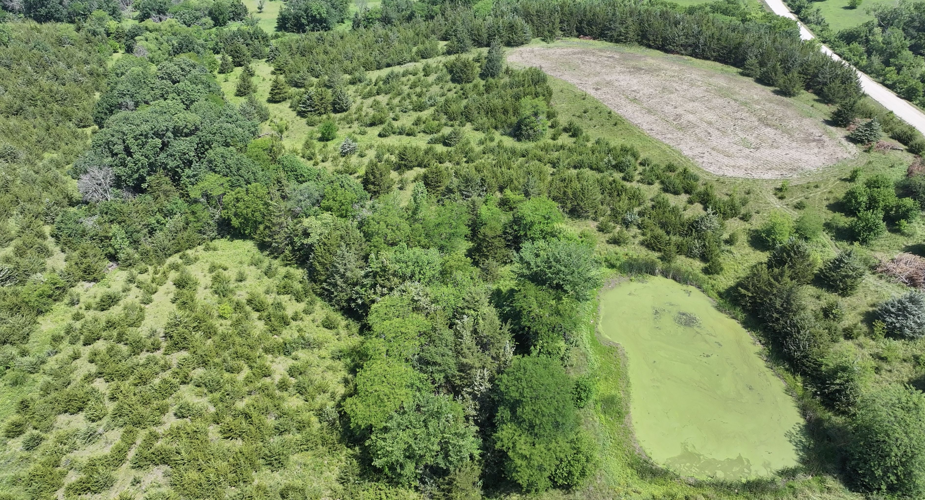 30 Acres, 105th St, Allerton, IA 50008 Land and Farm