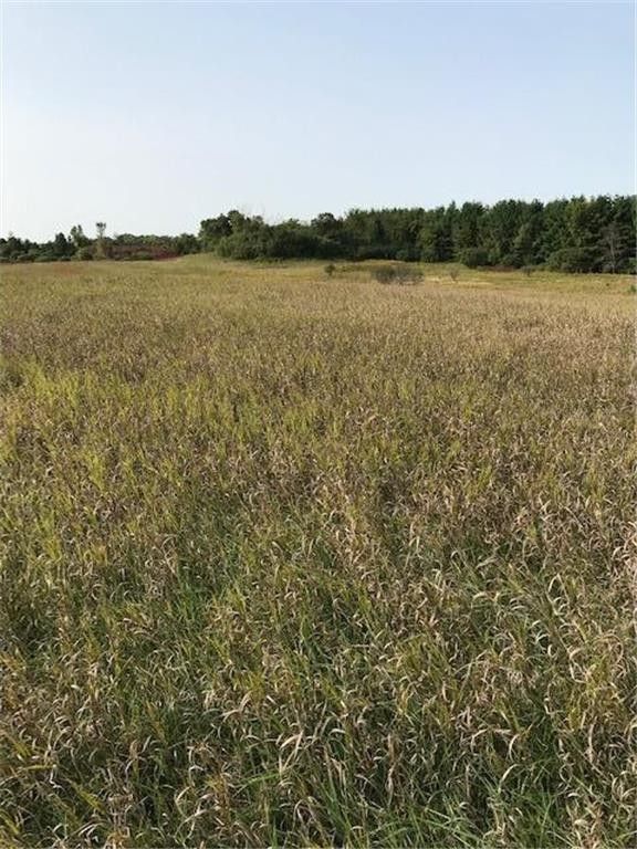 19.69 Acres, Island Estates (site12) Dr NW, Pine Island, MN 55963