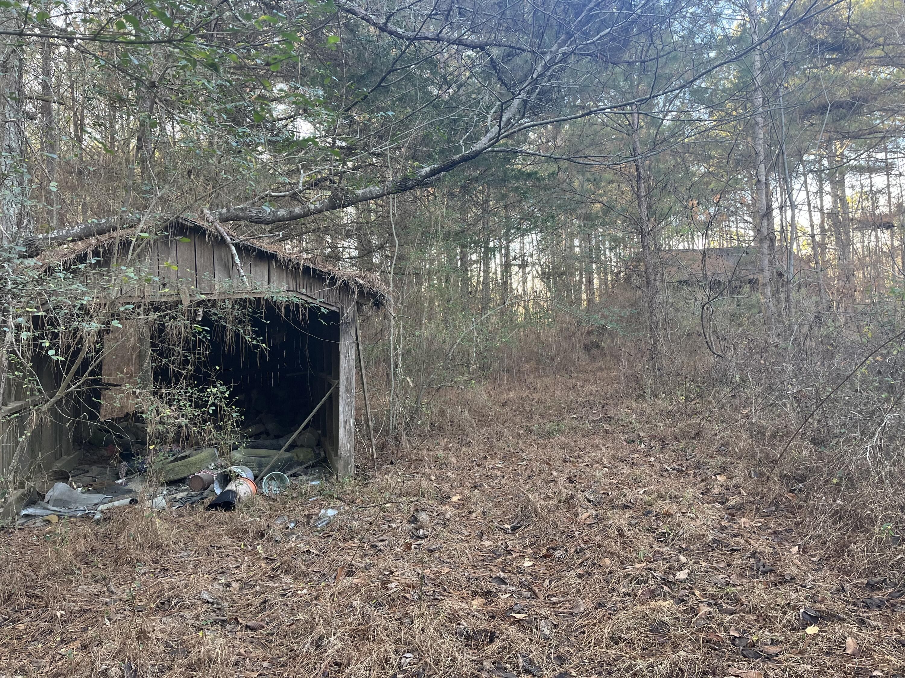 2 Acres, 4093 Mt Pleasant Rd, Cohutta, GA 30710 Land and Farm