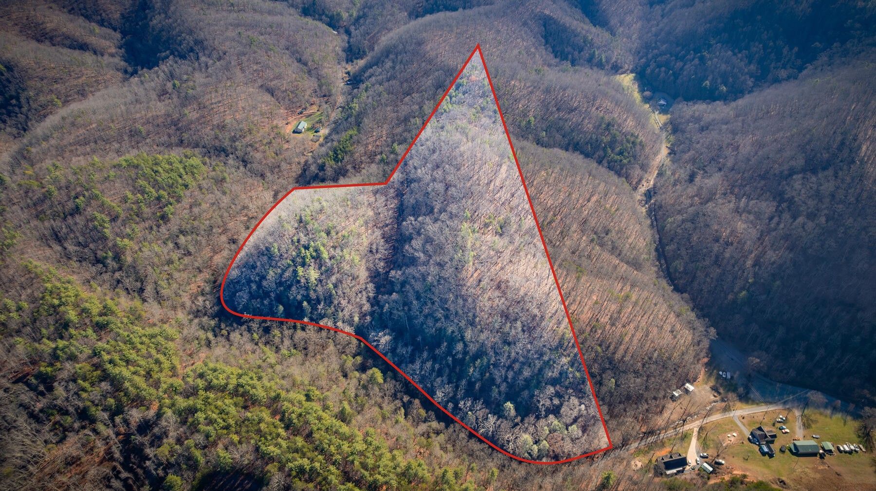 23.28 Acres, Tbd Big Arm Branch Road, Bluff City, TN 37618 Land and Farm