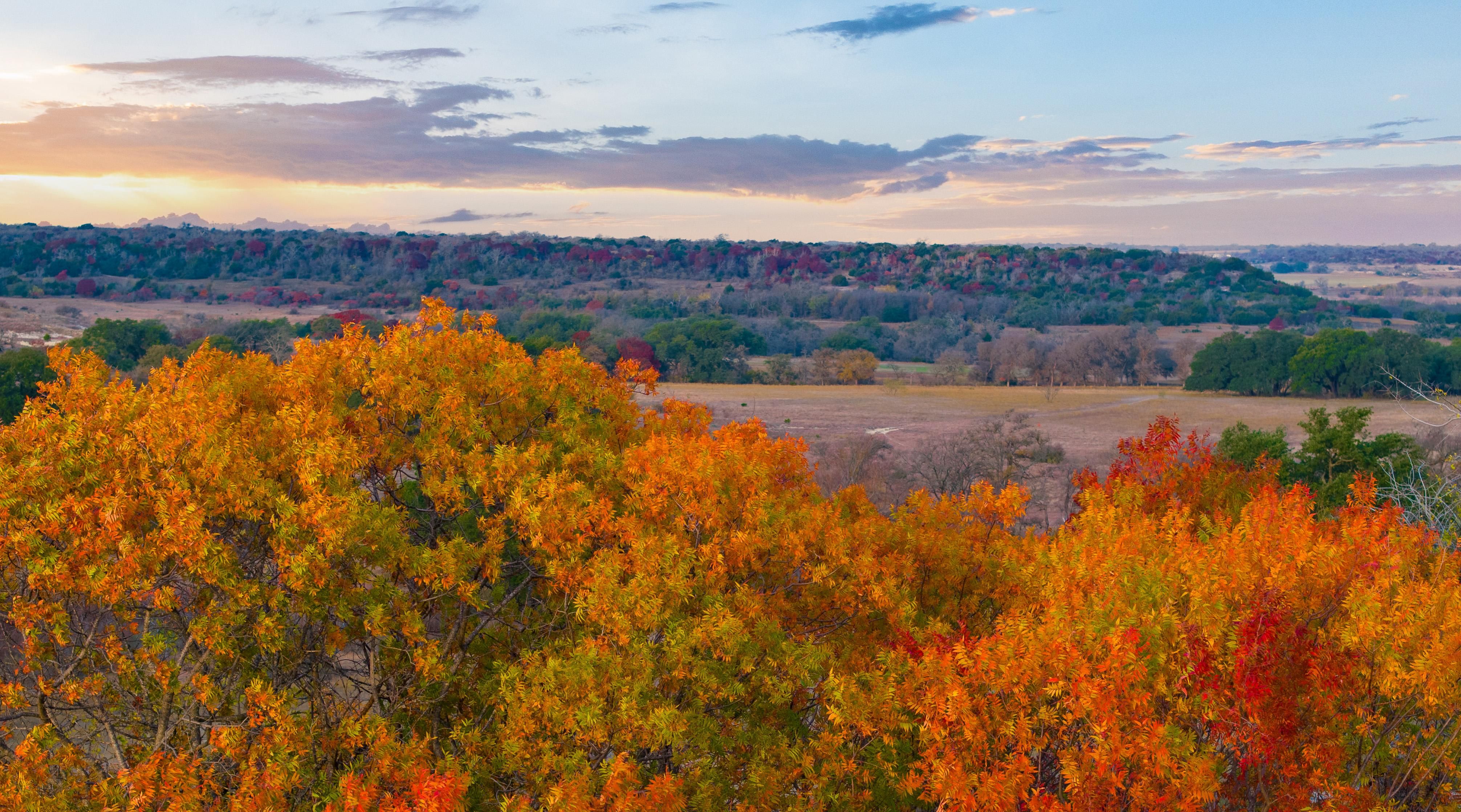 181.06 acres in Evant, TX, 76525 Land and Farm