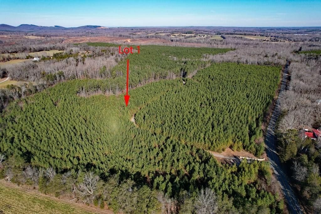 29.59 Acres, Plank Road, Dillwyn, VA 23936 Land and Farm