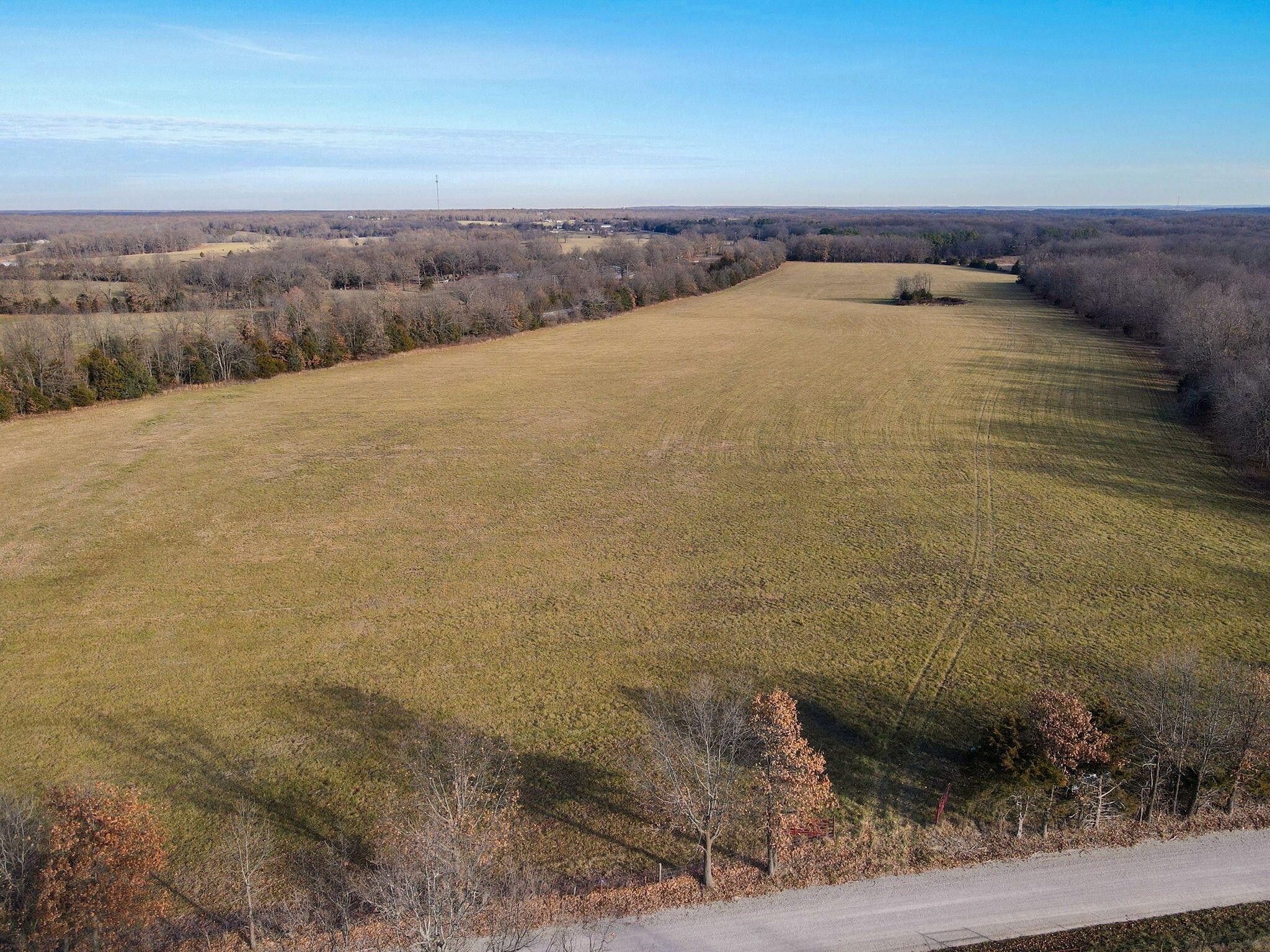 53.65 Acres, 0 State Hwy Cc, Conway, MO 65632 Land and Farm