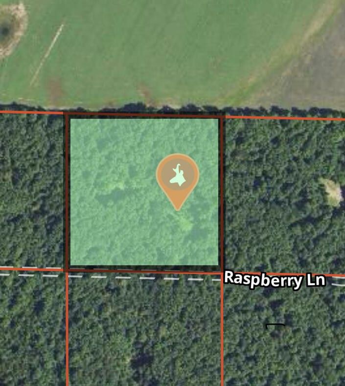 10 Acres, UNKNOWN, Elmira, MI 49730 Land and Farm