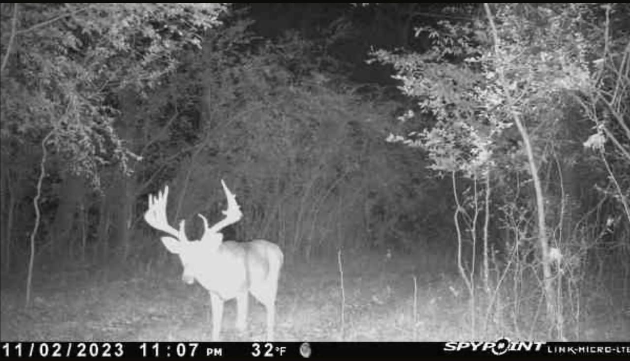 00 Roland Cutoff, Roland, AR 72135 Land and Farm