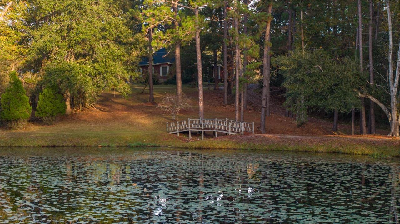 194 Granade Ave, Chatom, AL 36518 Land and Farm