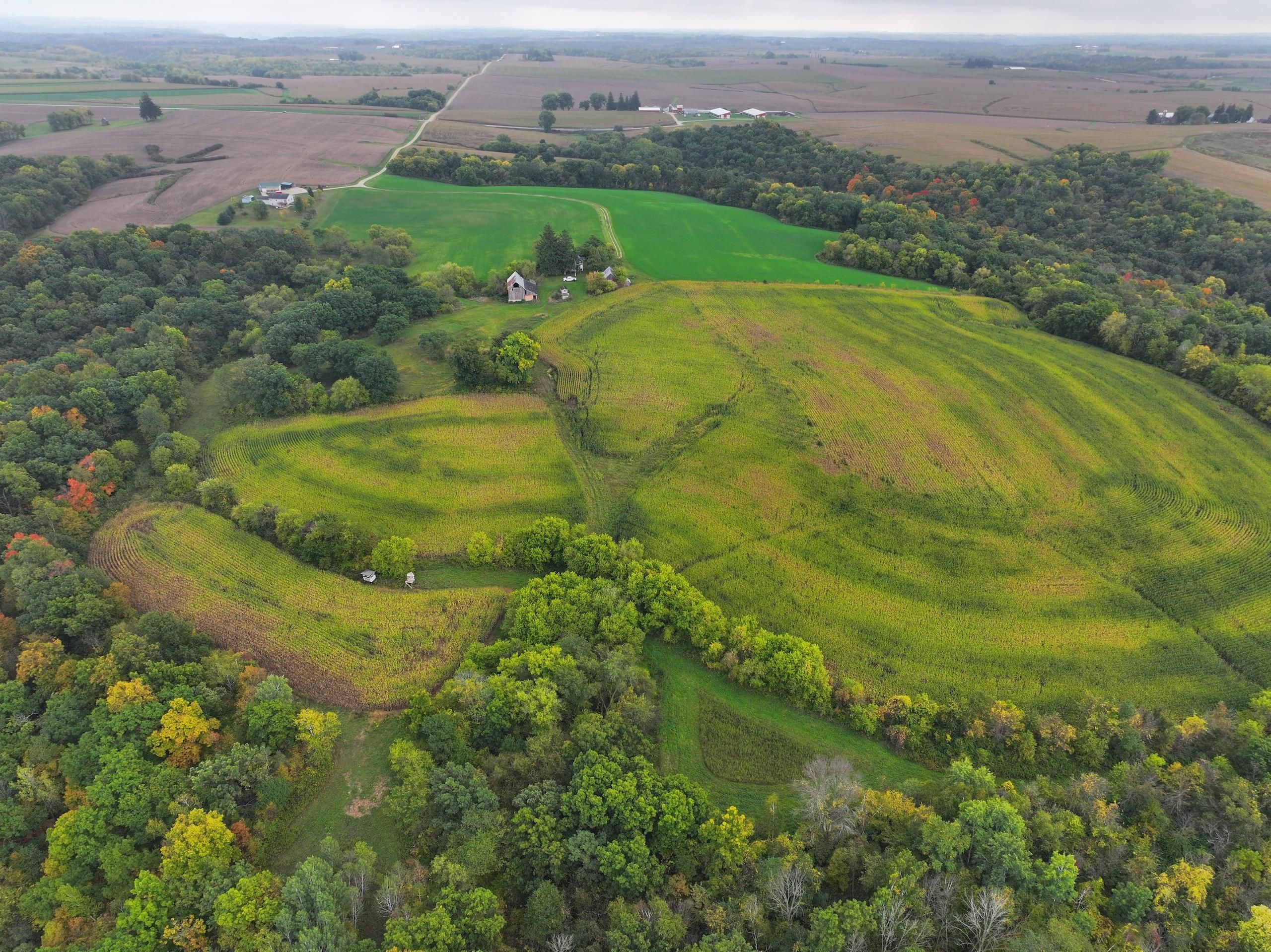 43082 270th St, Rushford, MN 55971 Land and Farm