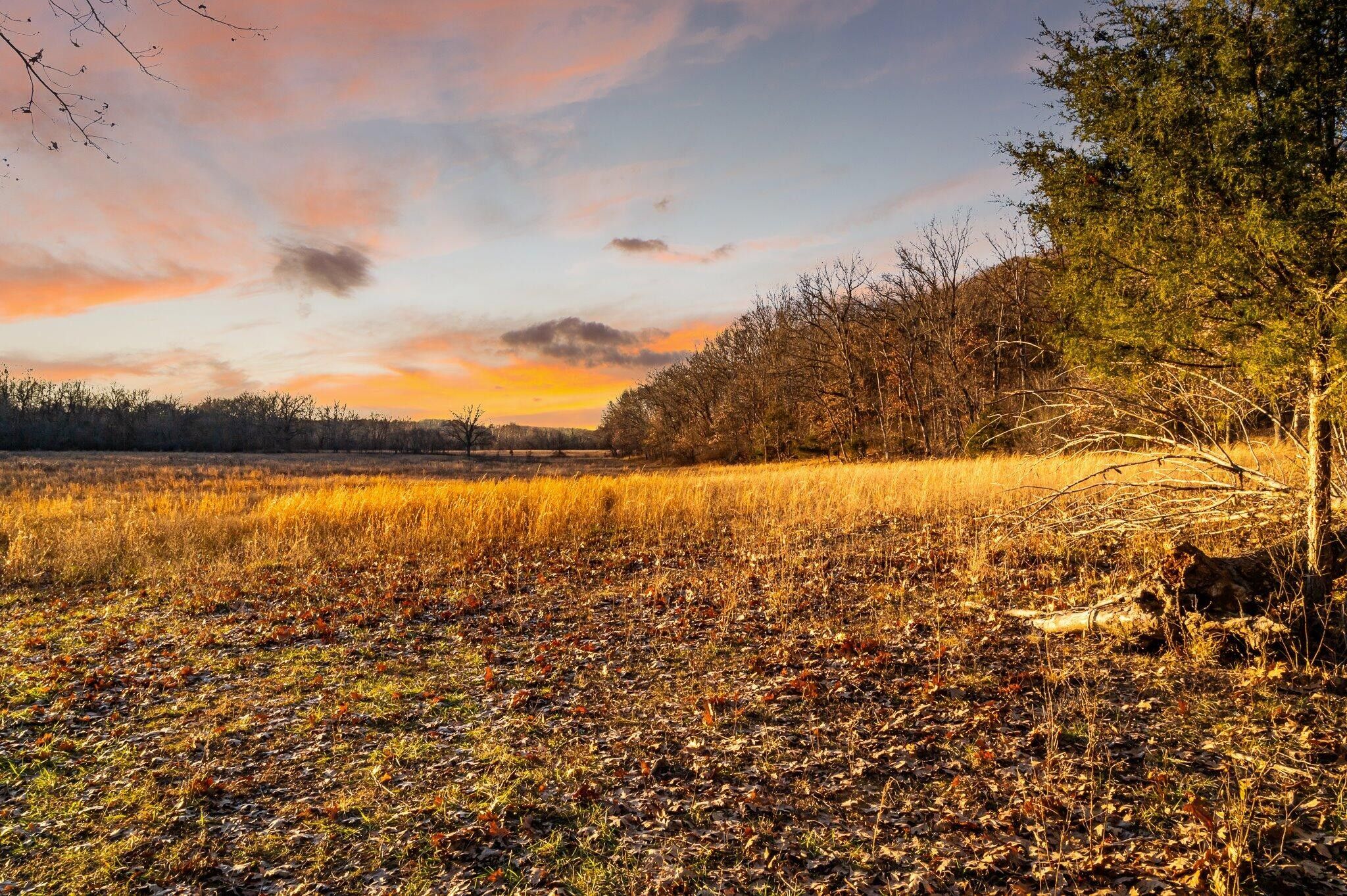 380 Acres, 000 Pleasant Hill Road, Seymour, MO 65746 Land and Farm