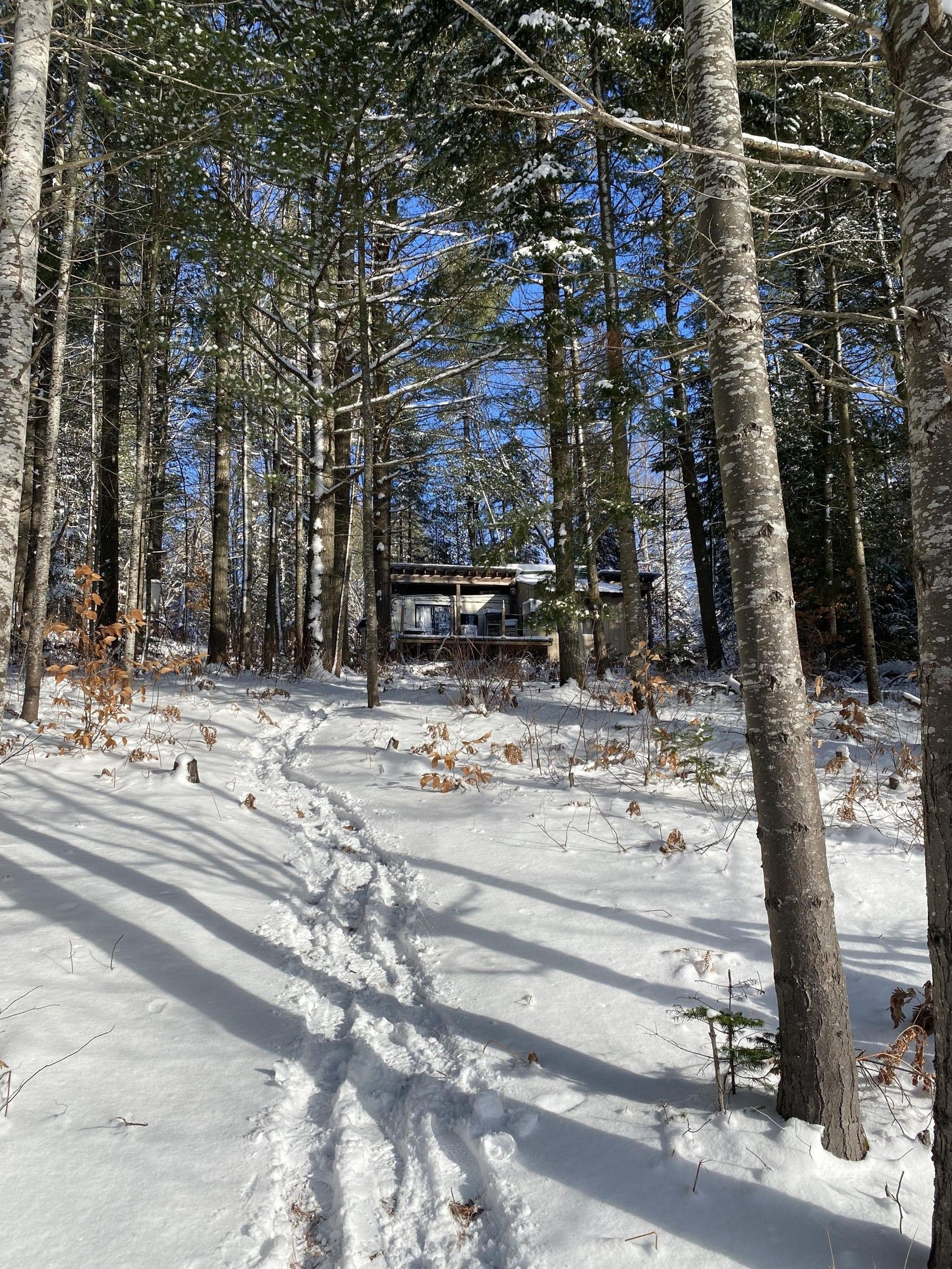 10 Acres, Co Rd 455, Mcmillan, MI 49853 Land and Farm