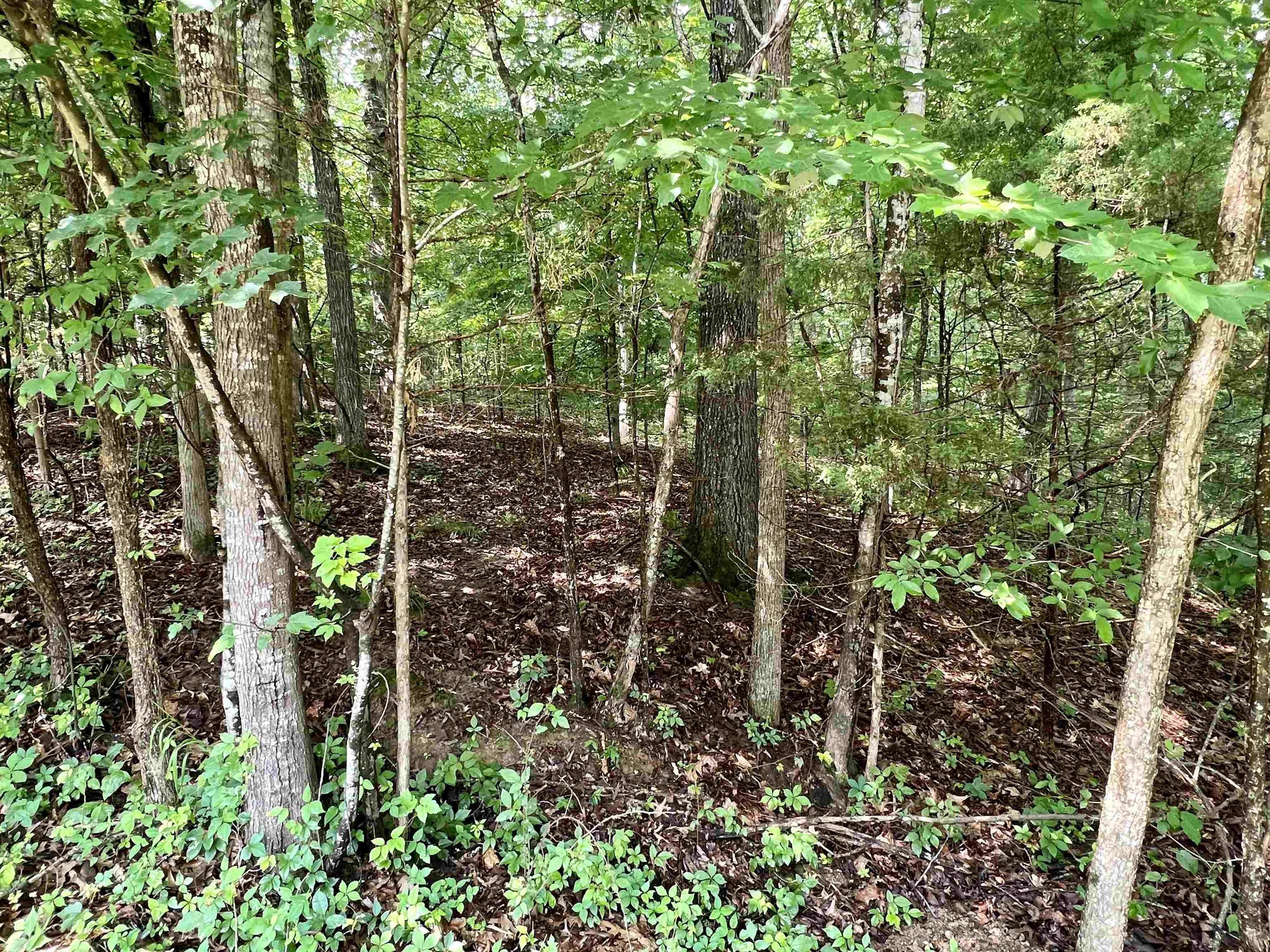 0.36 Acres, 114 WOODRUN, Middleton, TN 38052 Land and Farm