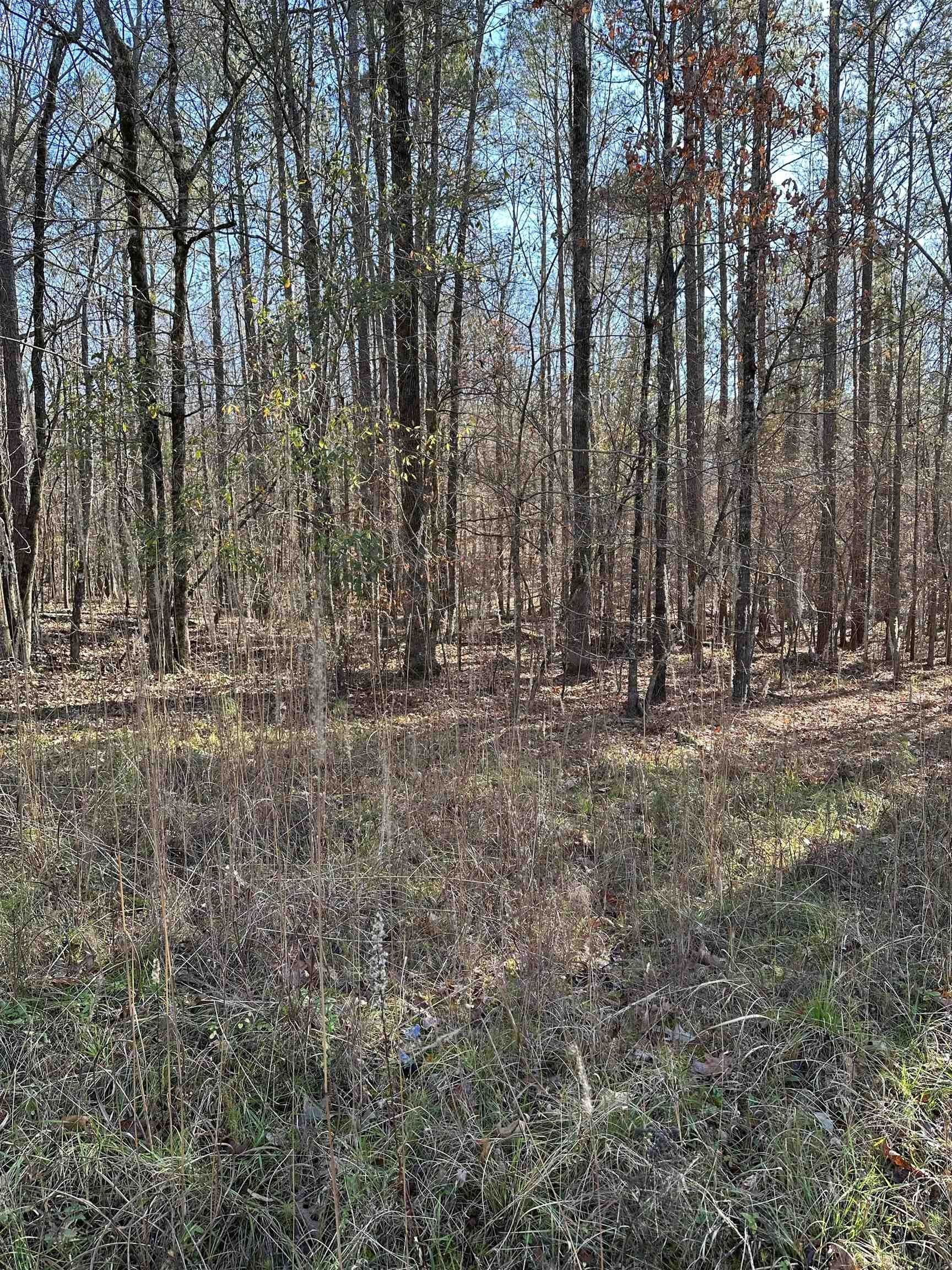 0.96 Acres, Lot 44 APALACHEE WOODS TRAIL, Buckhead, GA 30650 Land and Farm