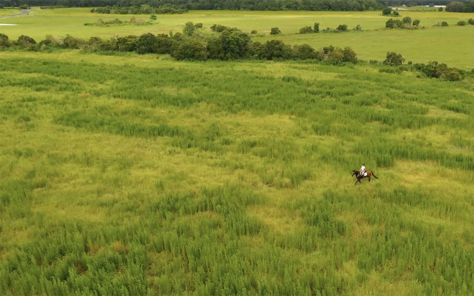 5 Acres, IRONS WAY 27, Myakka City, FL 34251 Land and Farm