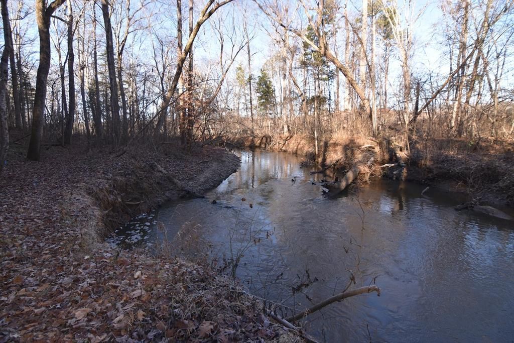 Plank Rd, Dillwyn, VA 23936 Land and Farm