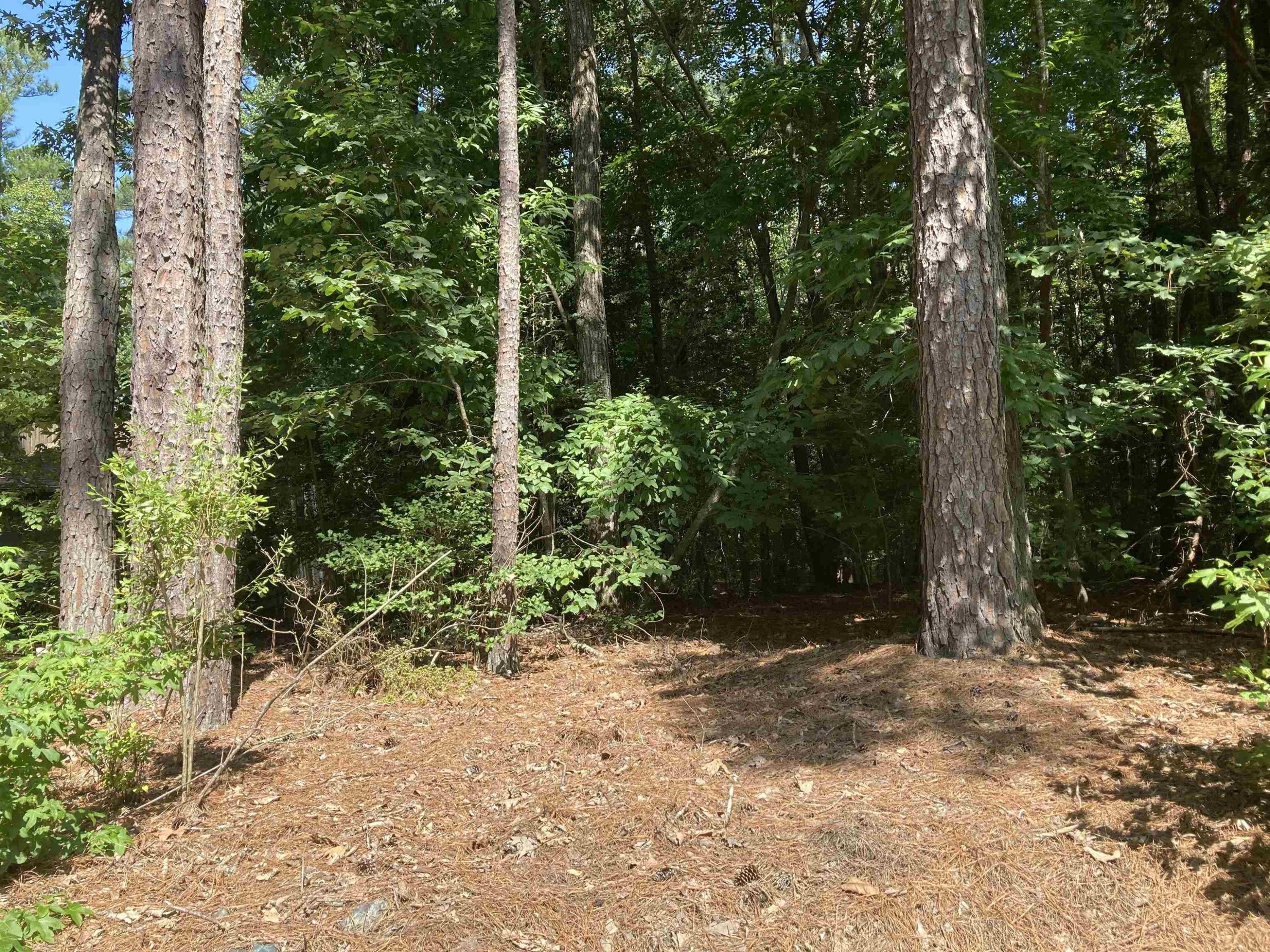 0.22 Acres, 3011 Bourbon Street, Sanford, NC 27332 Land and Farm