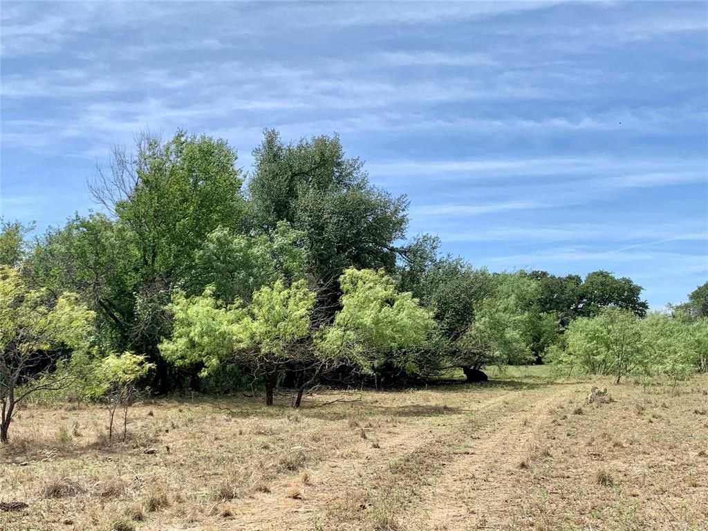 225 Acres, Tbd County Road 131, Rising Star, TX 76857 Land and Farm