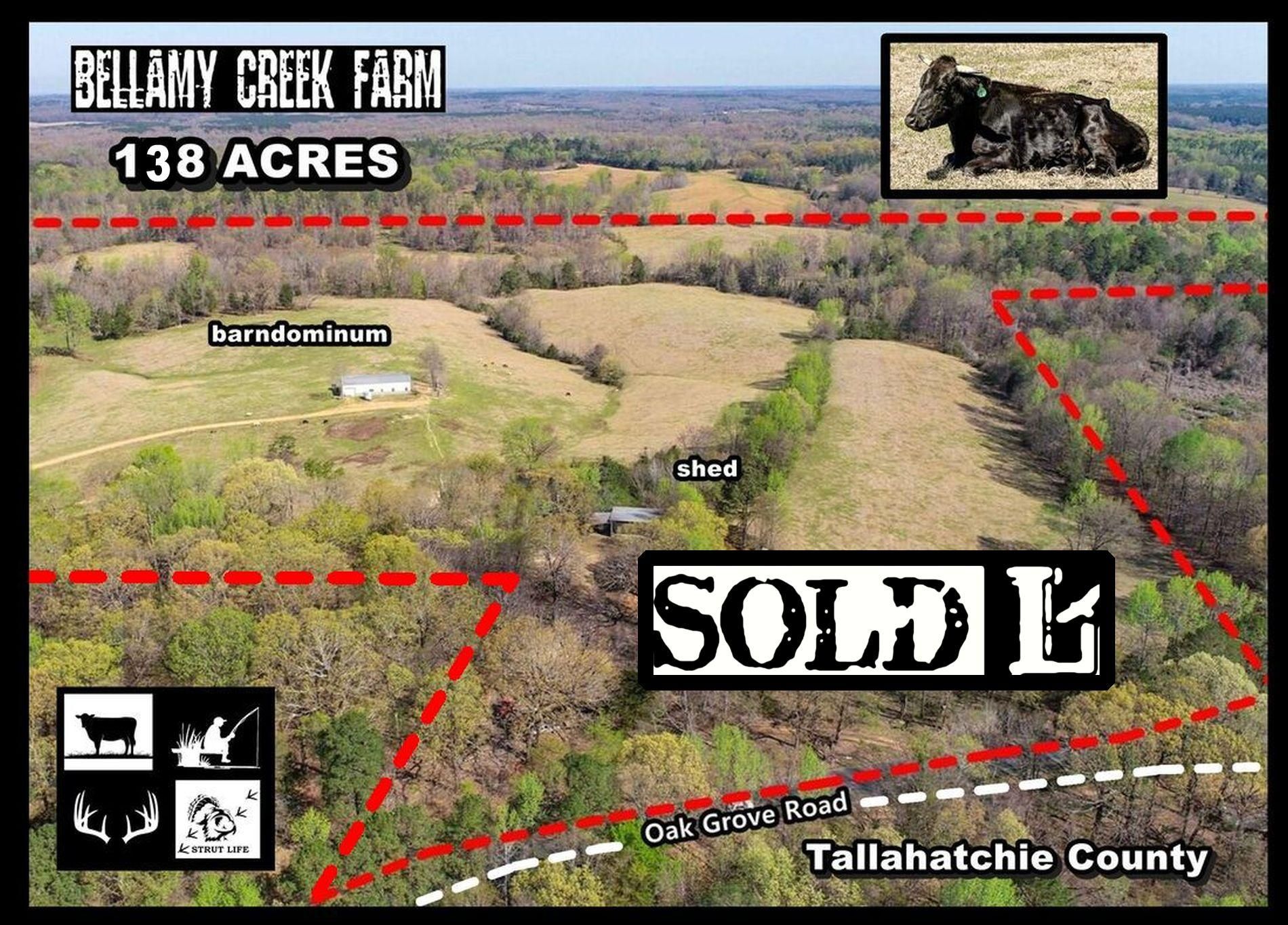 138 Acres, 753 Oak Grove Road, Charleston, MS 38921 Land and Farm