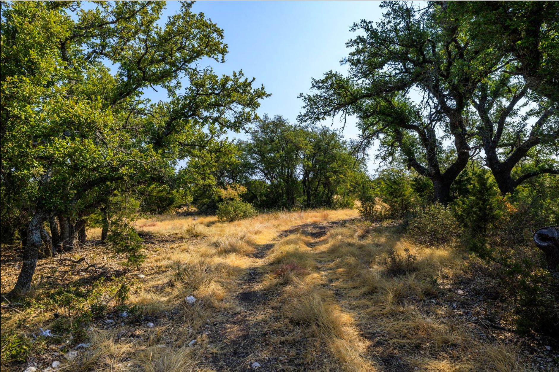 10 Acres, Harper, TX 78631 Land and Farm