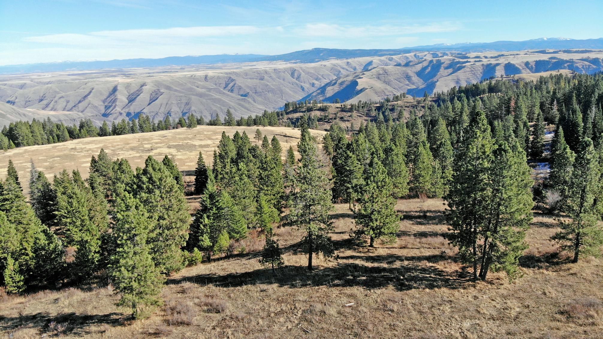 4381 Boles Road, Cottonwood, ID 83522 MLS Joseph Plains Ranch Land