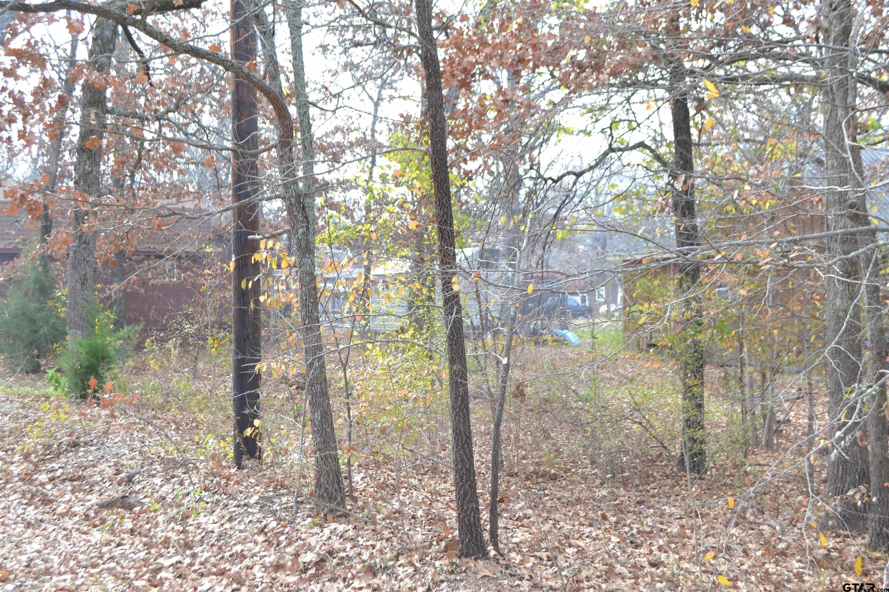 0.07 Acres, Lot 111112 RS Private Road 7712, Emory, TX 75440 Land