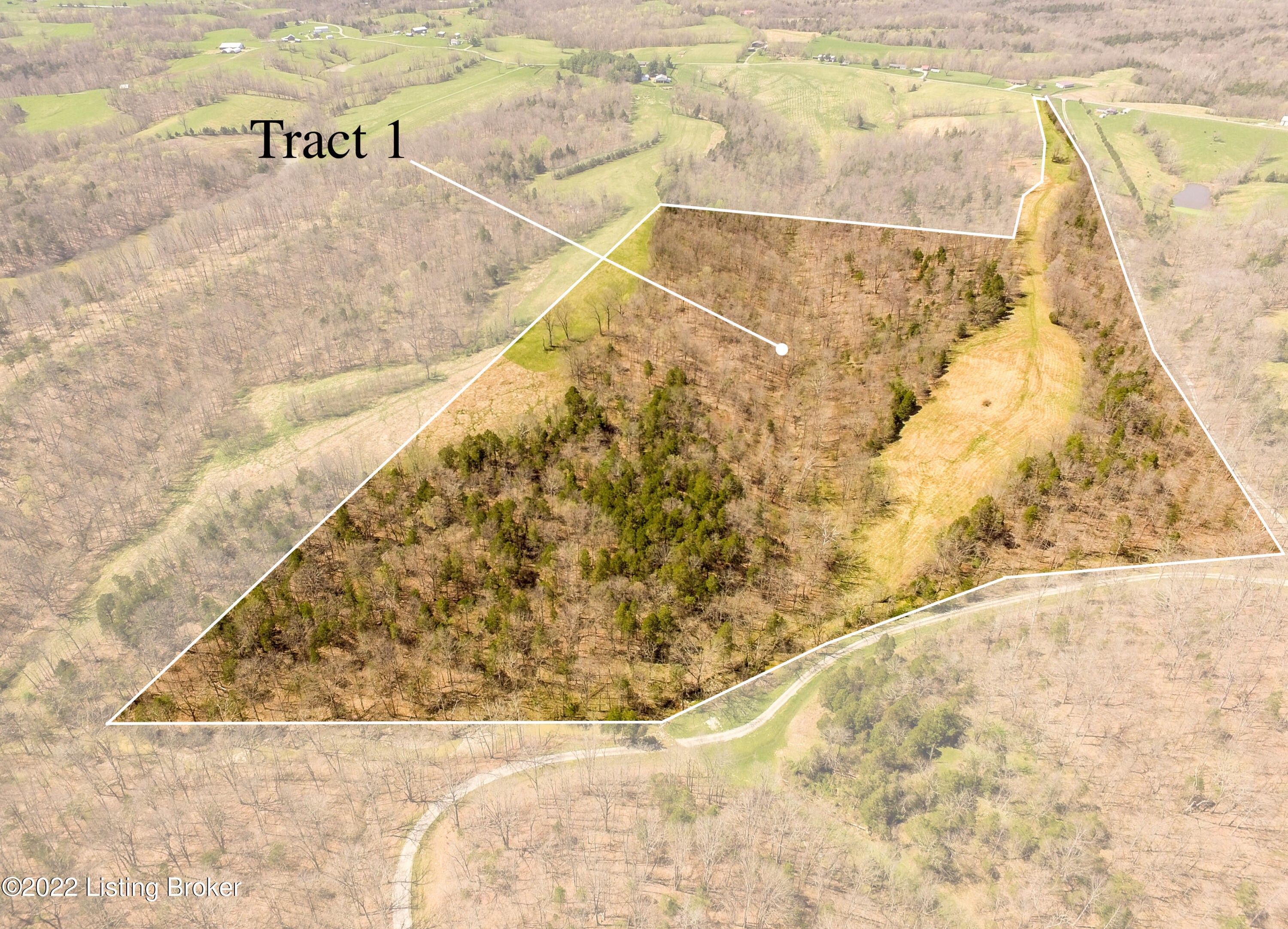 34.92 Acres, Tract 1 Cat Ridge Rd, Waddy, KY 40076 Land and Farm