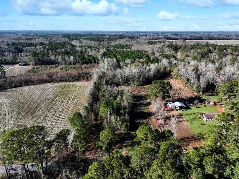 19 Acres, White Pond Rd, Fairmont, NC 28340 Land and Farm