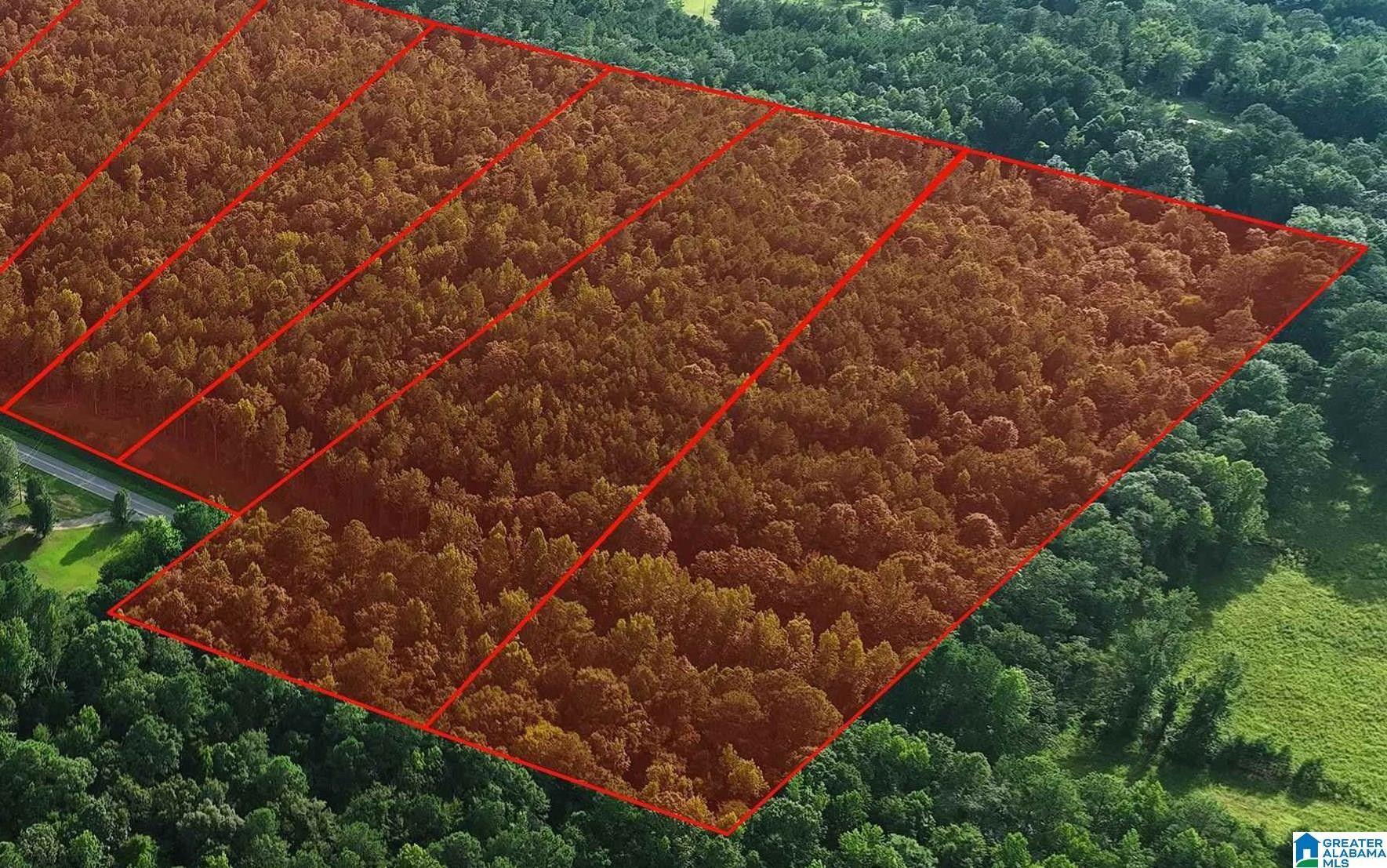 33.25 Acres, Lots 14 WOODS BEND ROAD, Ragland, AL 35131 Land and Farm