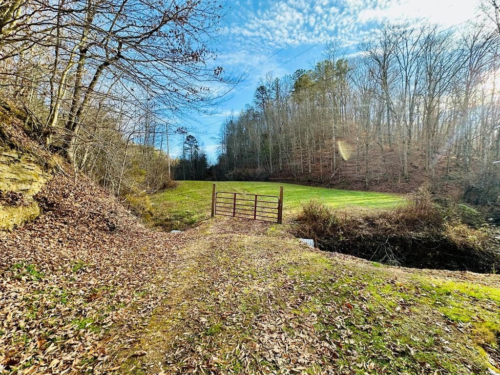 118 Acres, 00 Hurricane Rd, Salyersville, KY 41465 Land and Farm