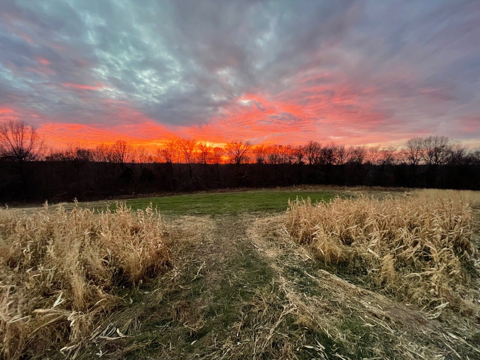 77 Acres, 000 Coonhunters Road, Golconda, IL 62938 Land and Farm