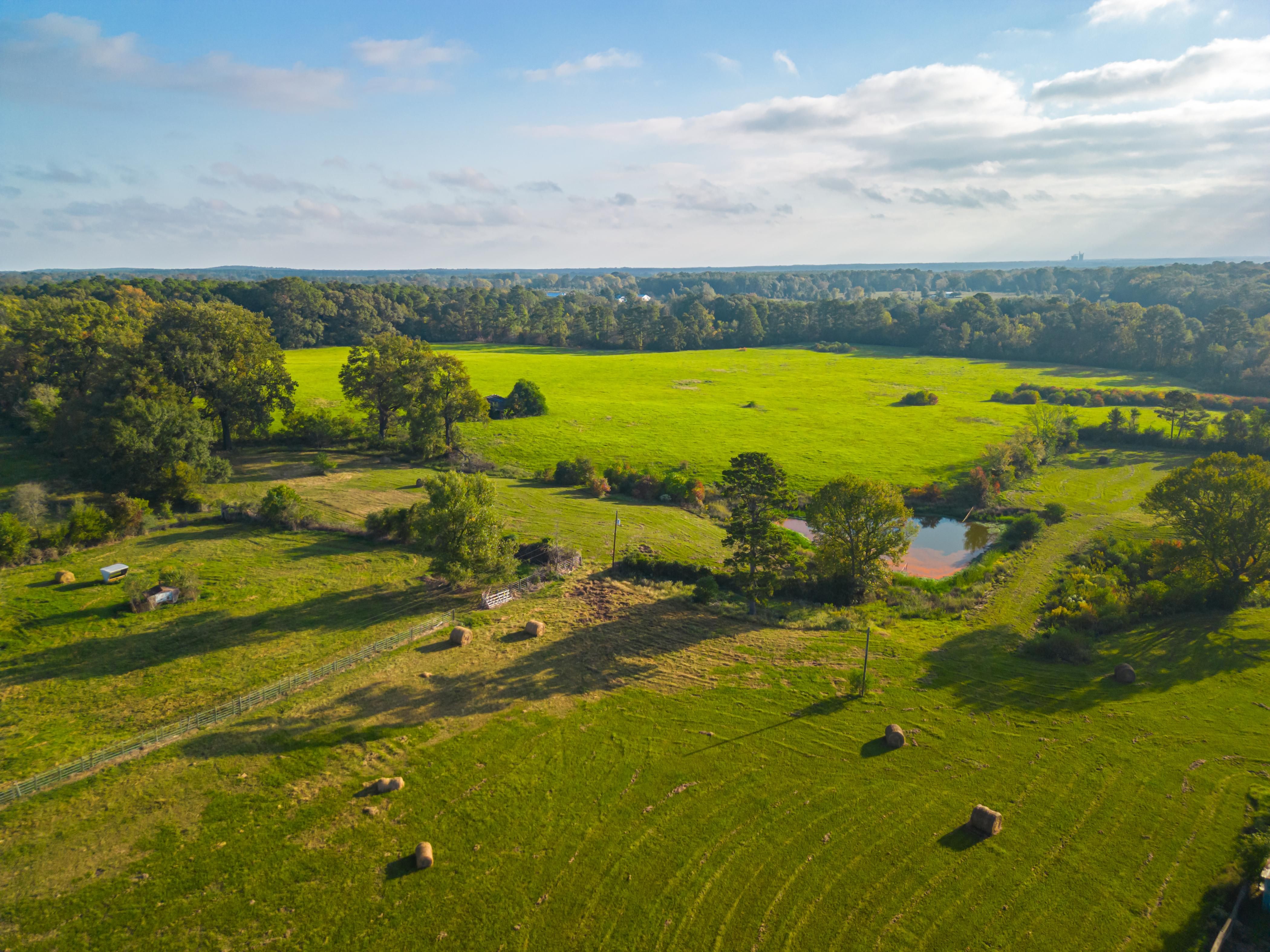 119 acres in Timpson, TX, 75975 Land and Farm