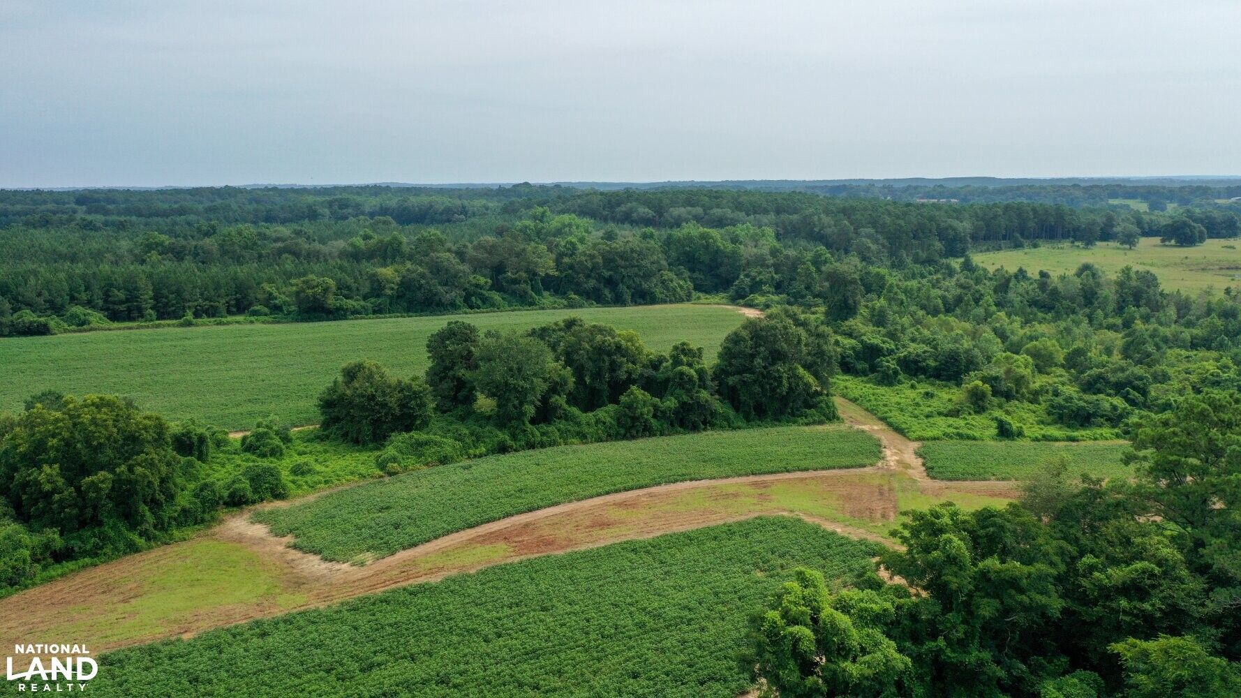 158 Acres, Brundidge, AL 36010 Land and Farm