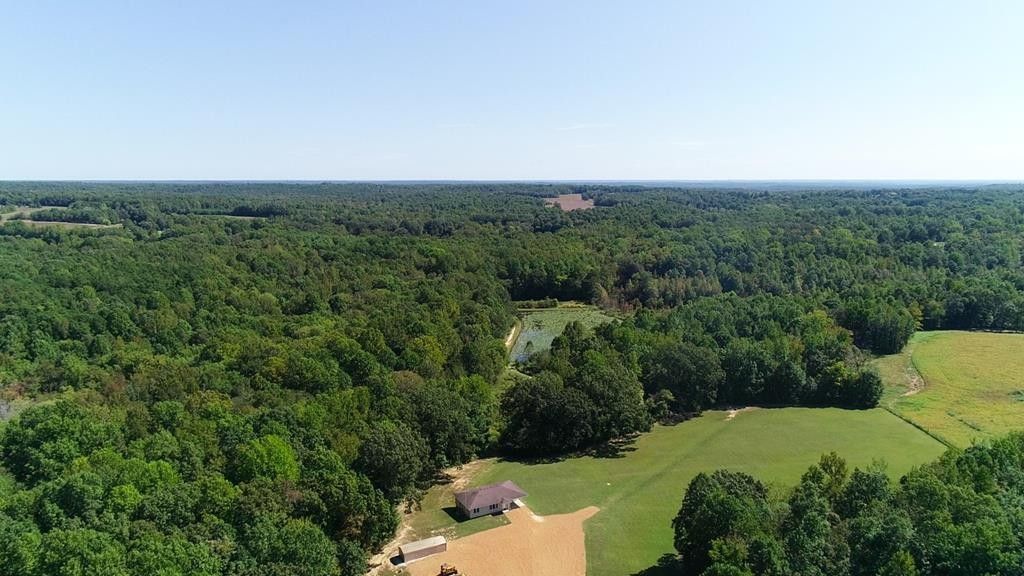 30.04 Acres, 5156 Hwy. 641N, Puryear, TN 38251 Land and Farm