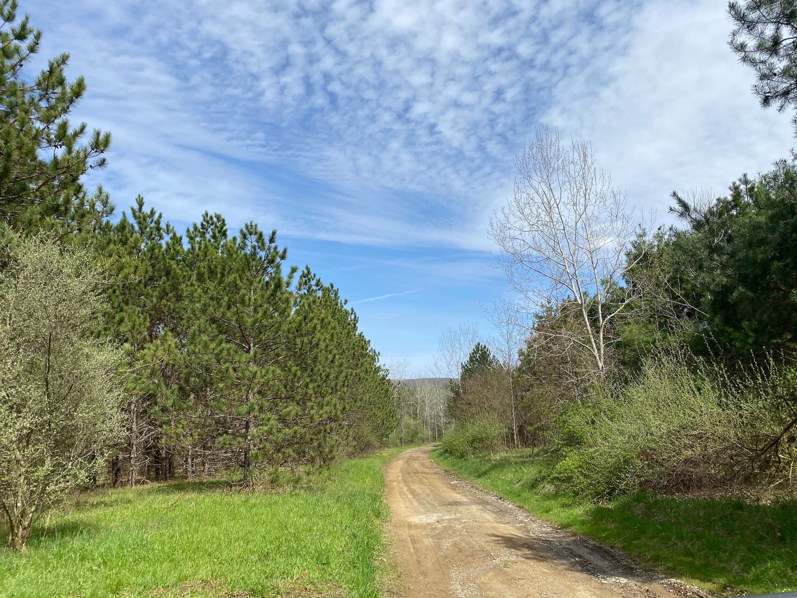 Pleasant Hill Road, LotWP001, Brookville, PA 15825 Land and Farm