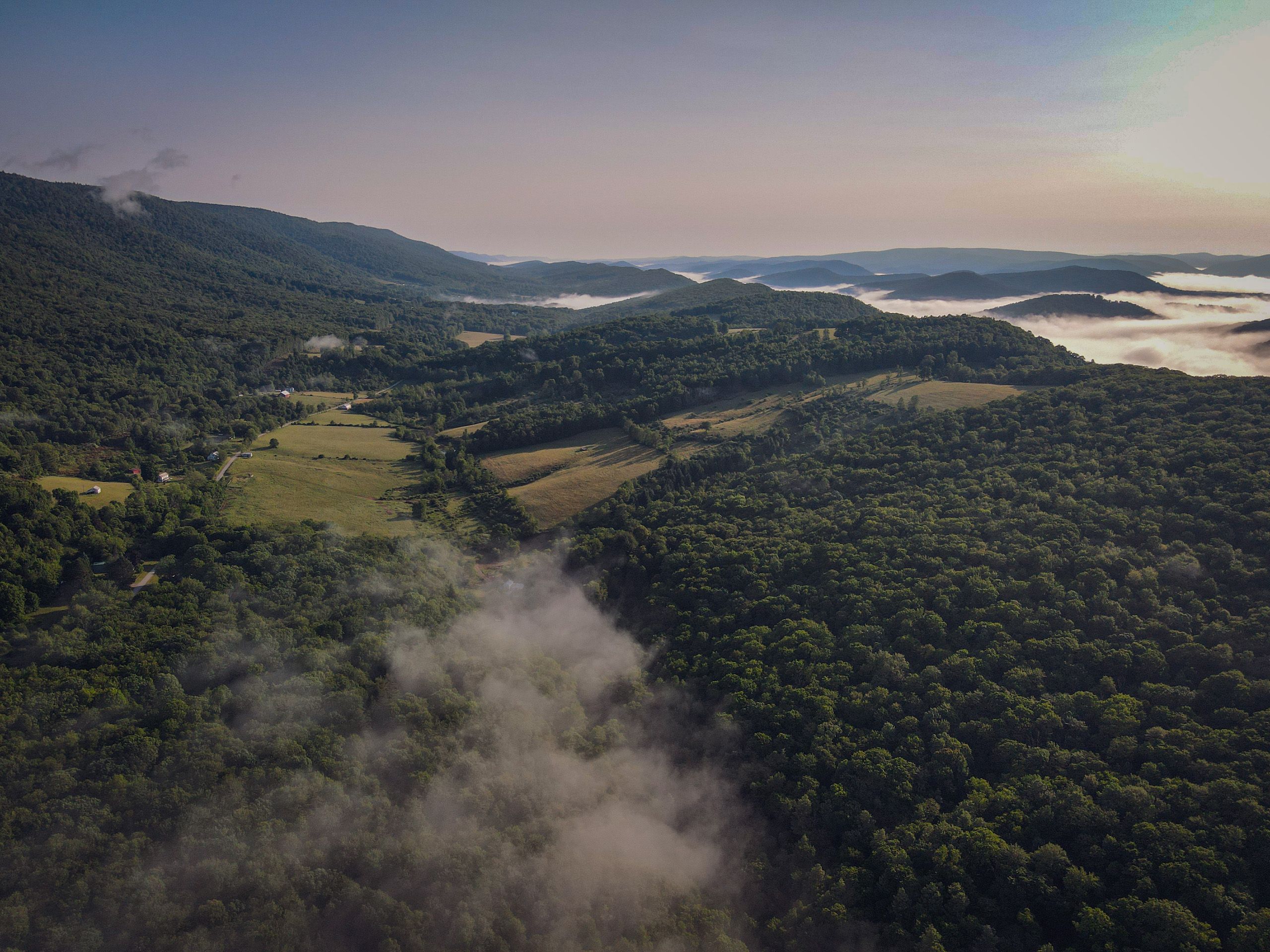 Back Allegheny Road, Lot WP001, Durbin, WV 26264 Land and Farm