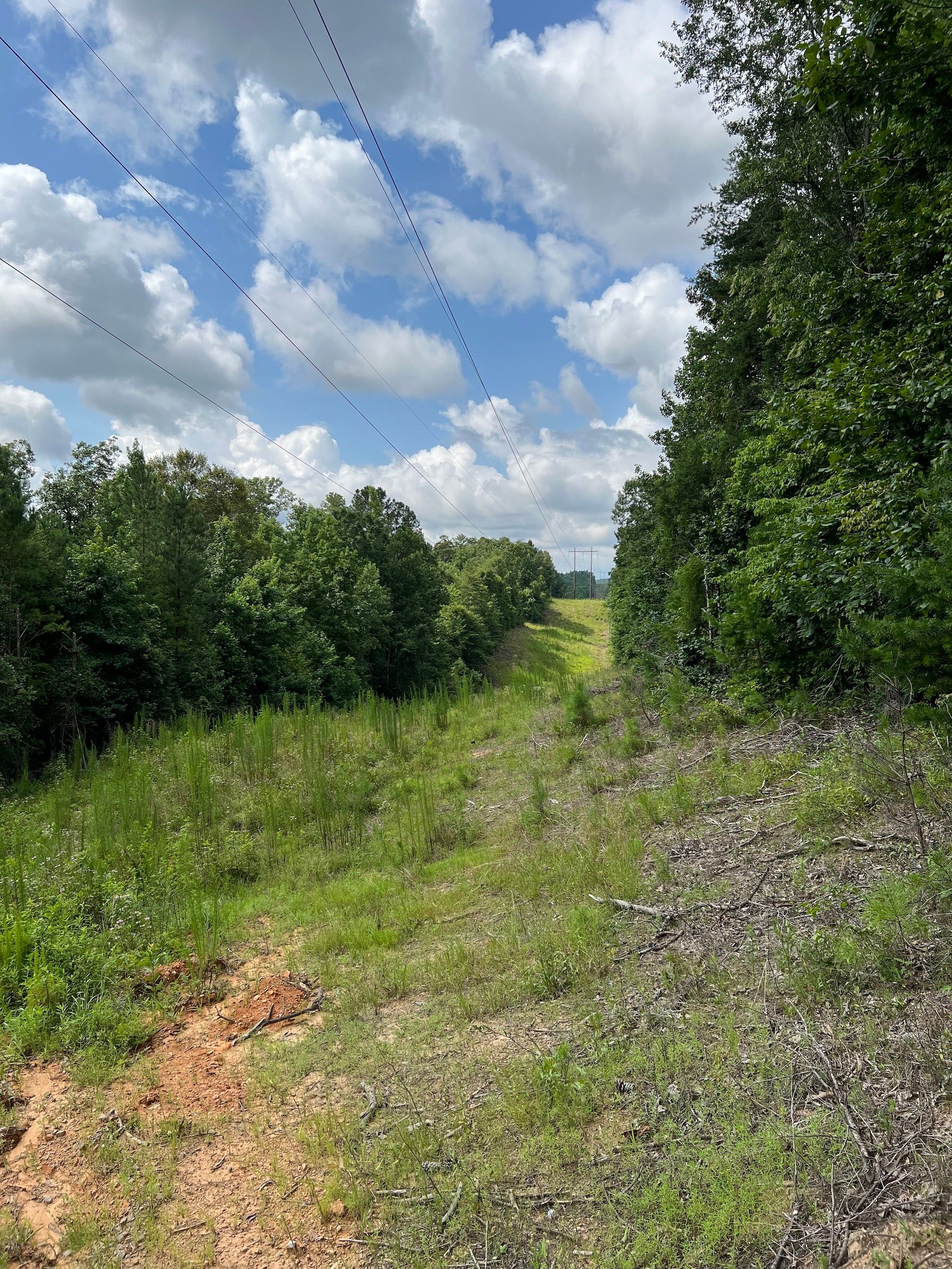 0 Mountain View Rd., LotWP003, Northport, AL 35475 Land and Farm