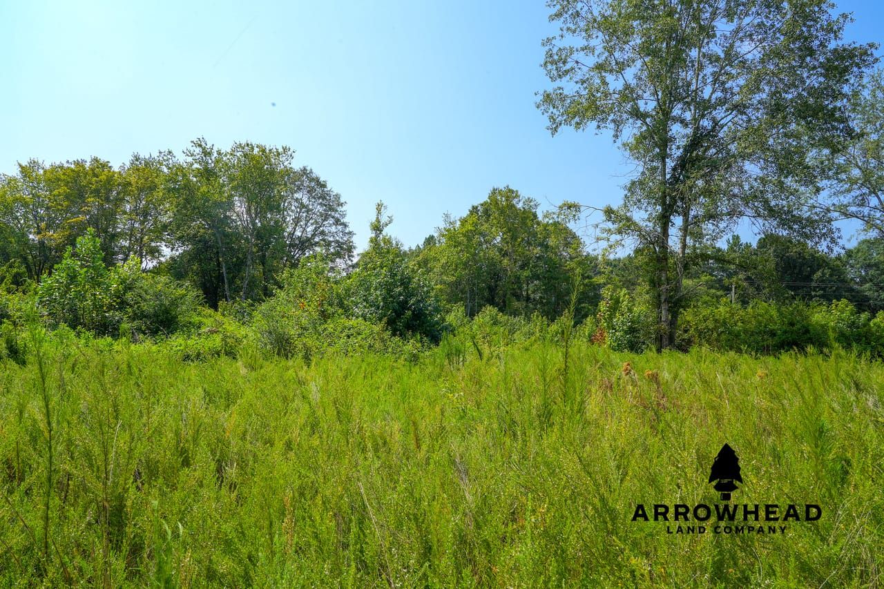 0 Road, Bremen, GA 30110 Land and Farm