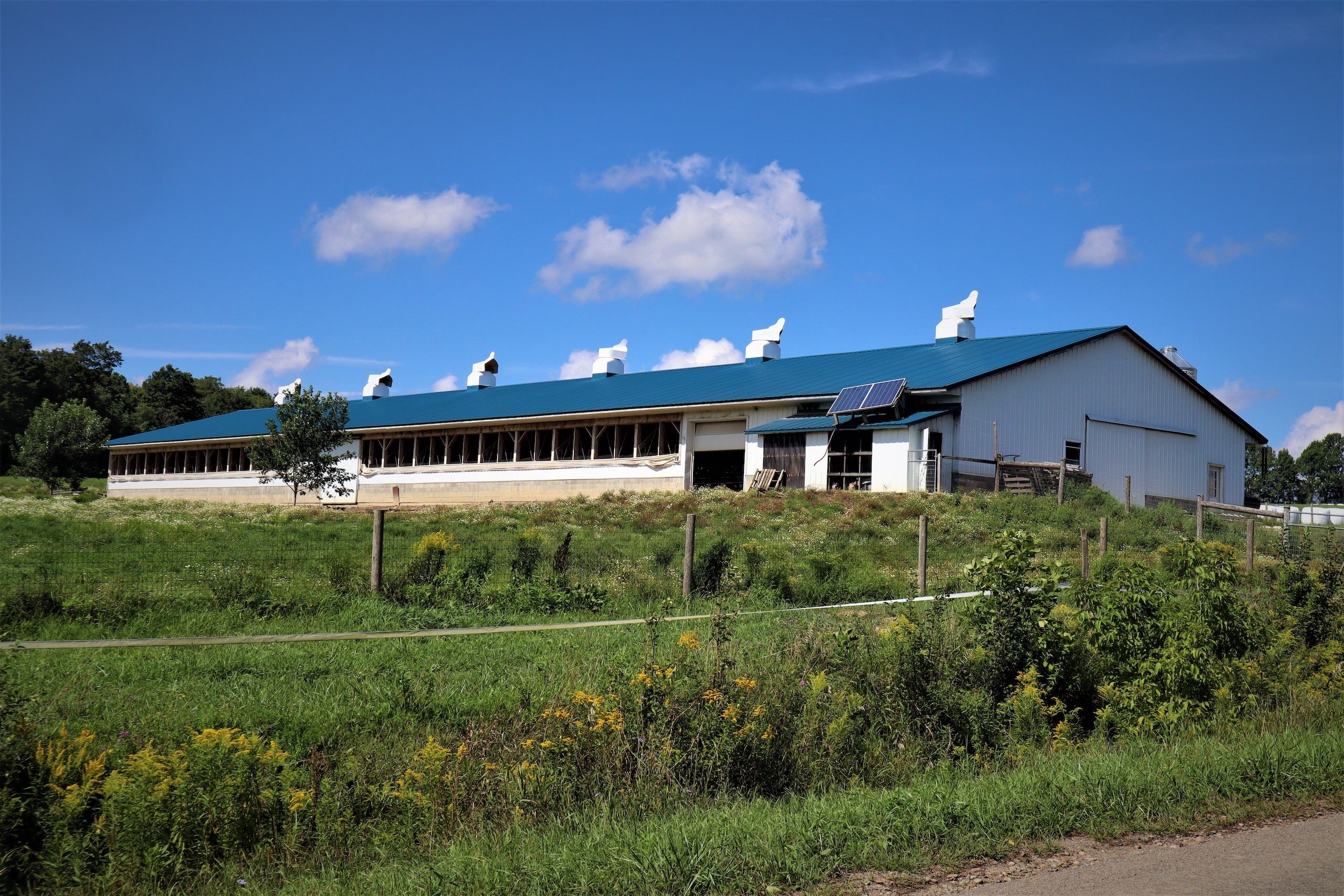 34.88 Acres, 10041 West Centerville Road, Houghton, NY 14735 Land and