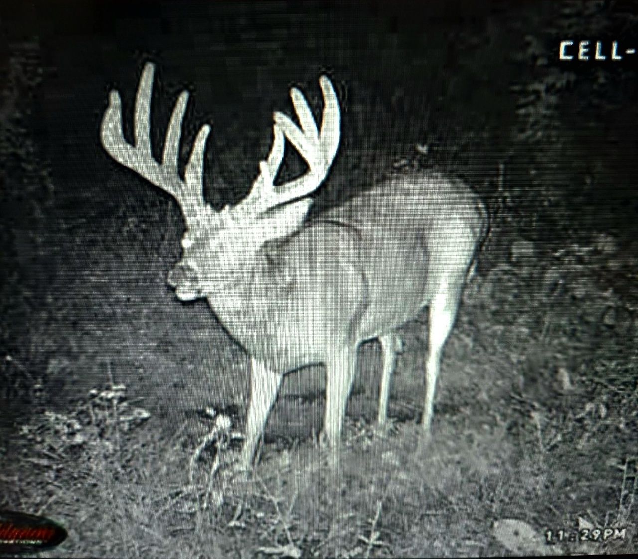 Karper Harbor Rd, LotWP001, Cascade, IA 52033 Land and Farm